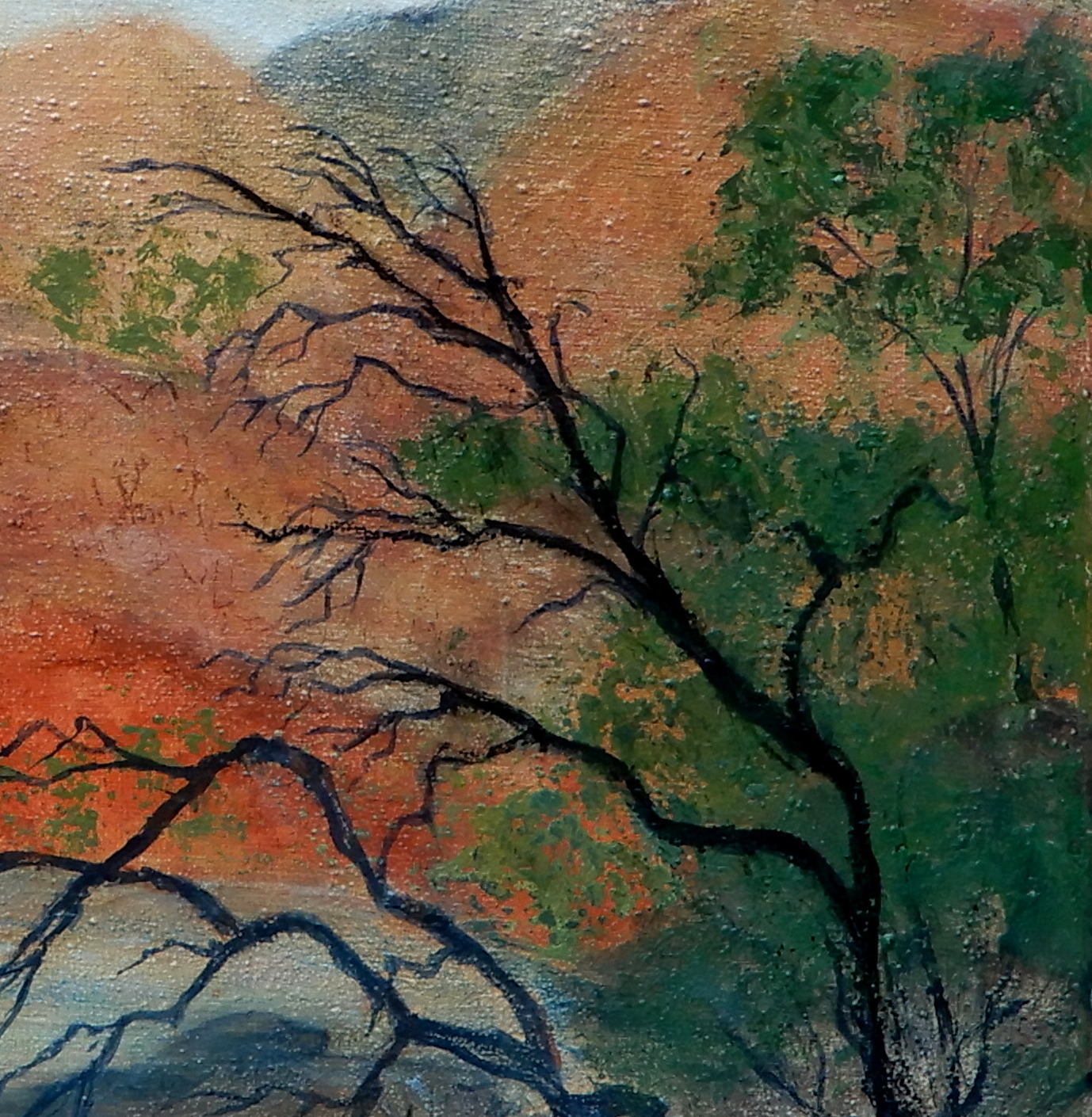 Doodie Herman Outback Waterhole Landscape 004