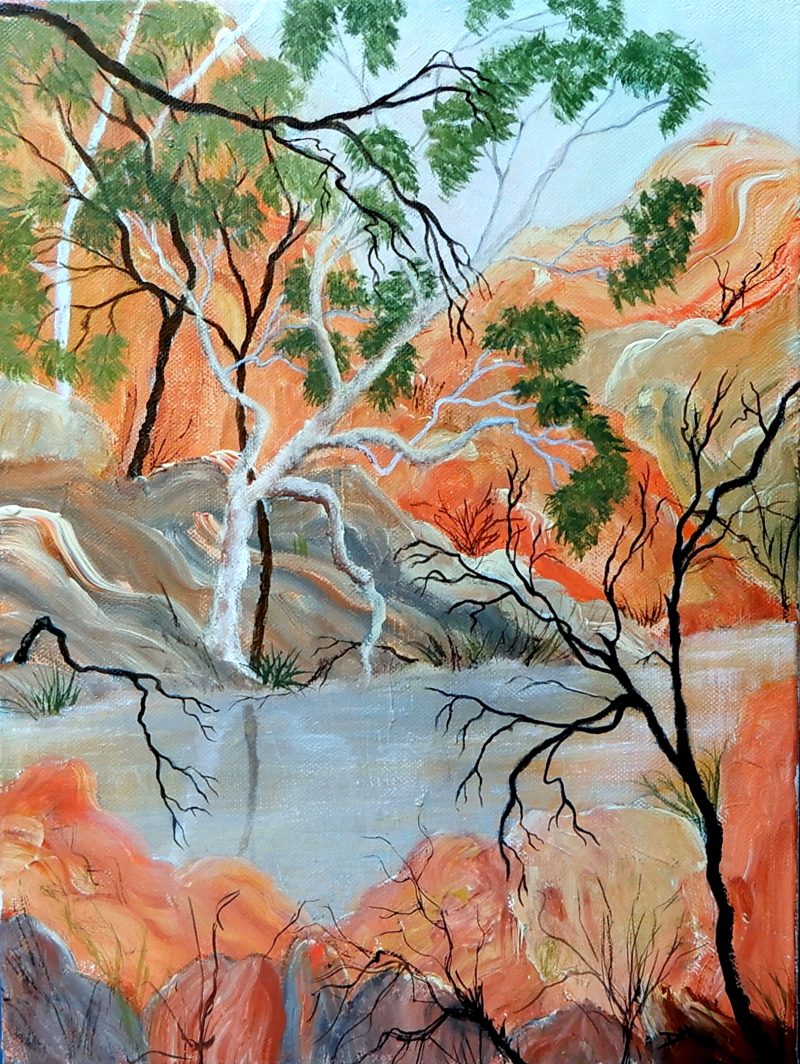 Red Centre Waterhole
