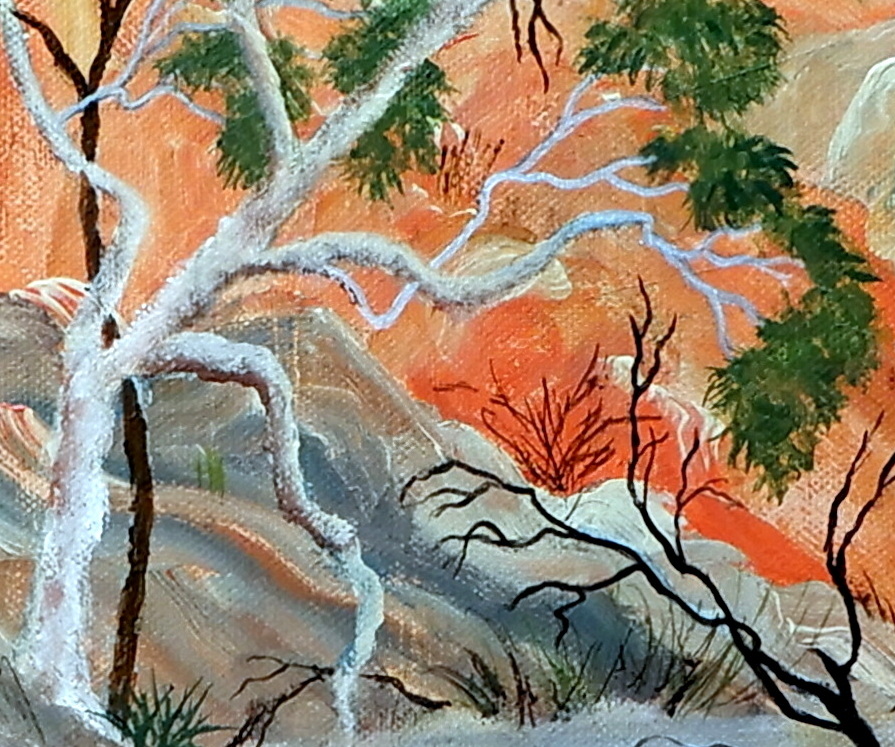 Doodie Herman Red Centre Waterhole Landscape 008