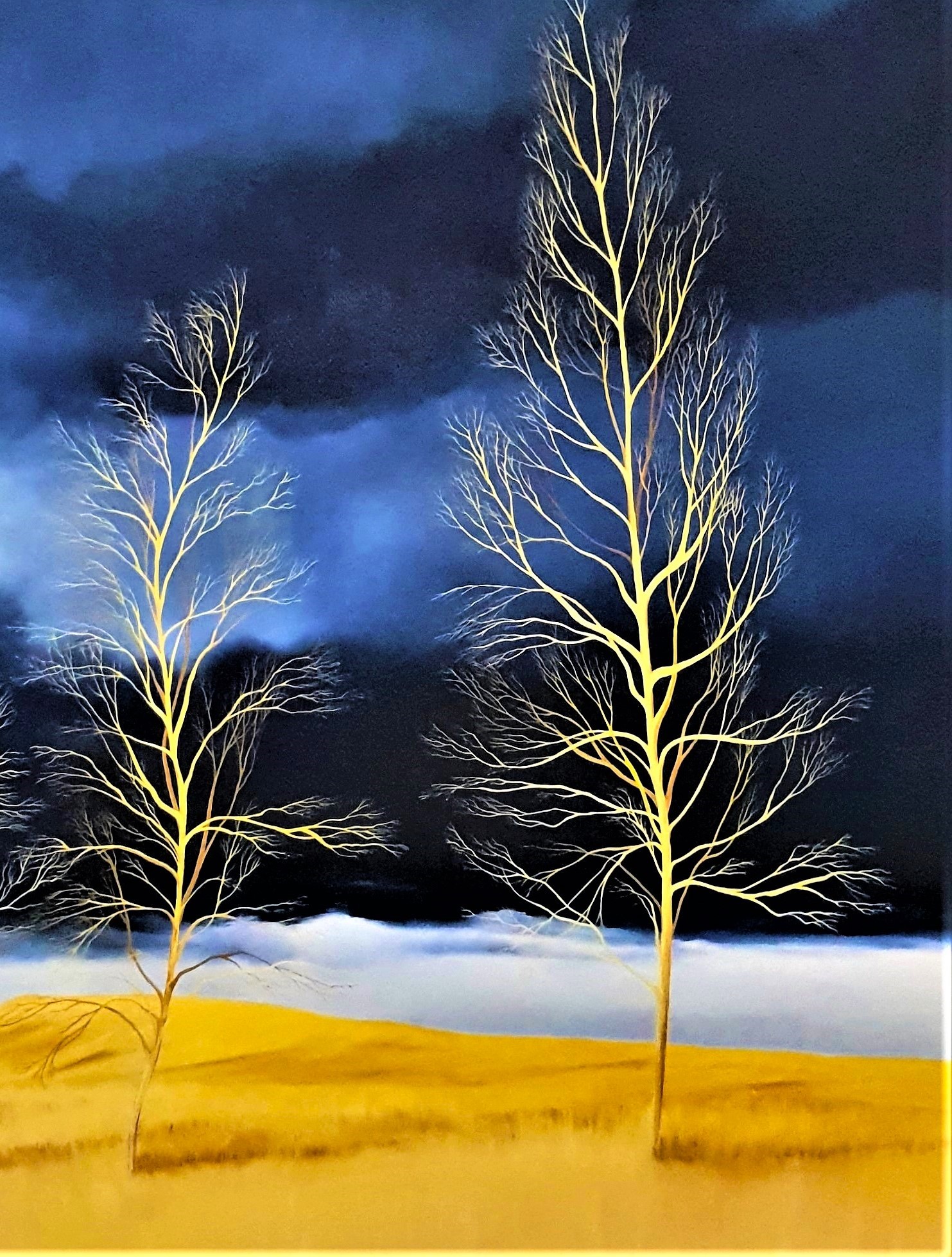 The Language Of Trees Lucinda Leveille 1