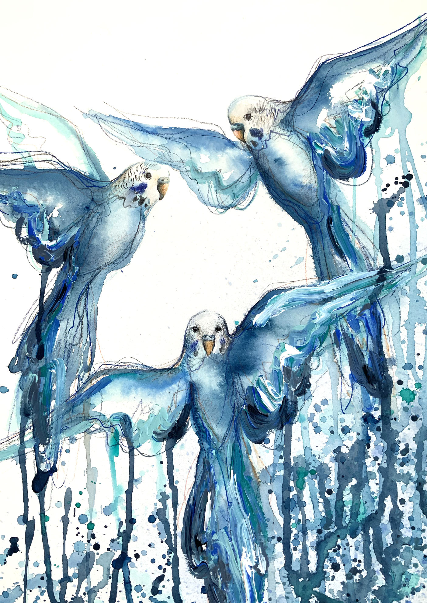 2.sydney Artist Leni Kae Budgie Bath In Blue Closeup Birdart