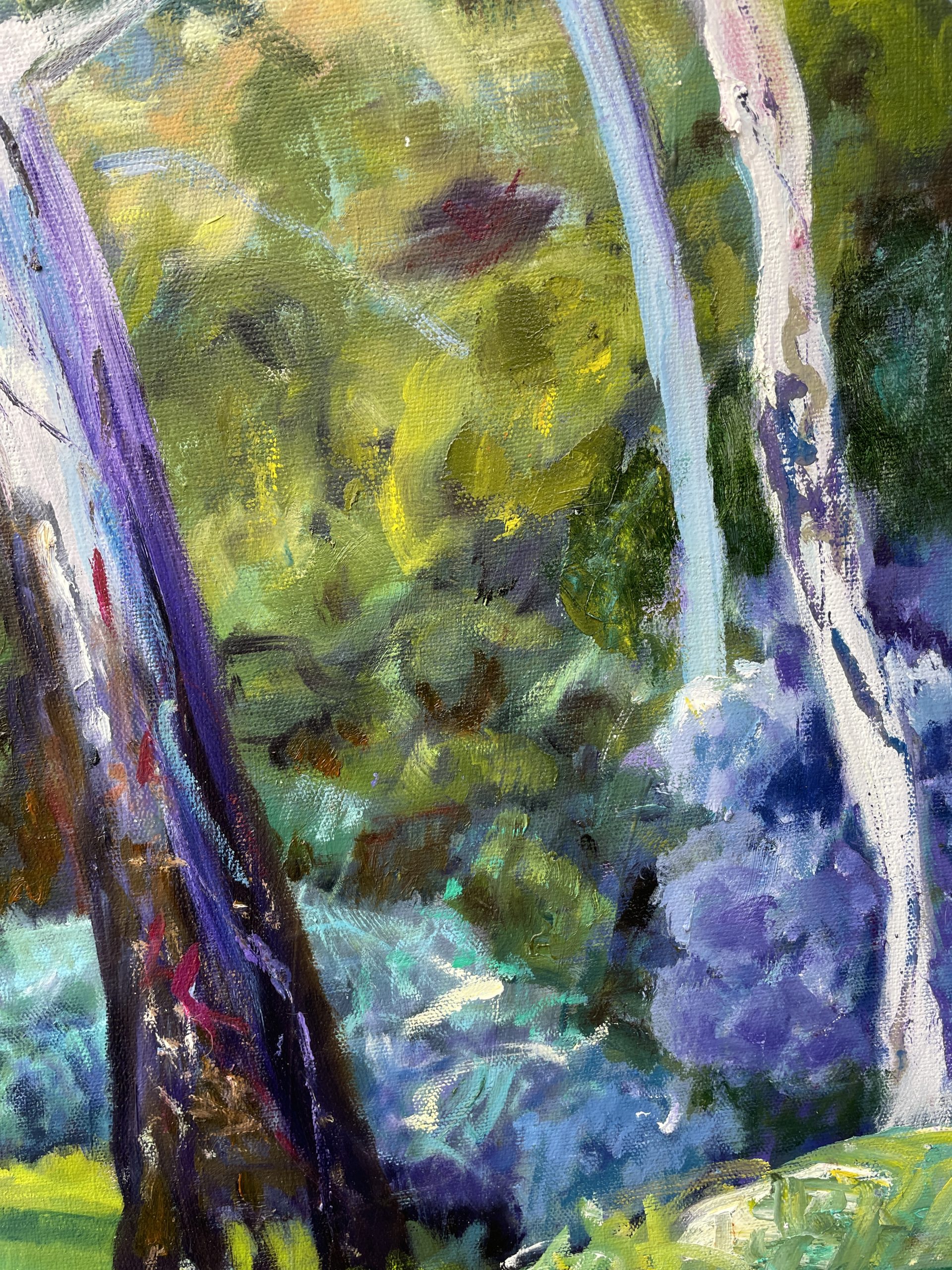 Road To Morialta Close Up 1