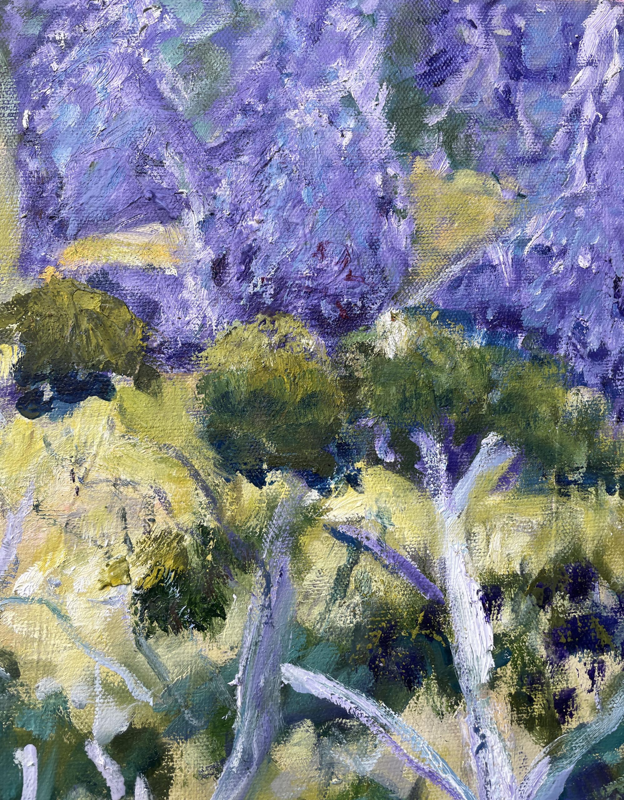 Road To Morialta Closeup 3