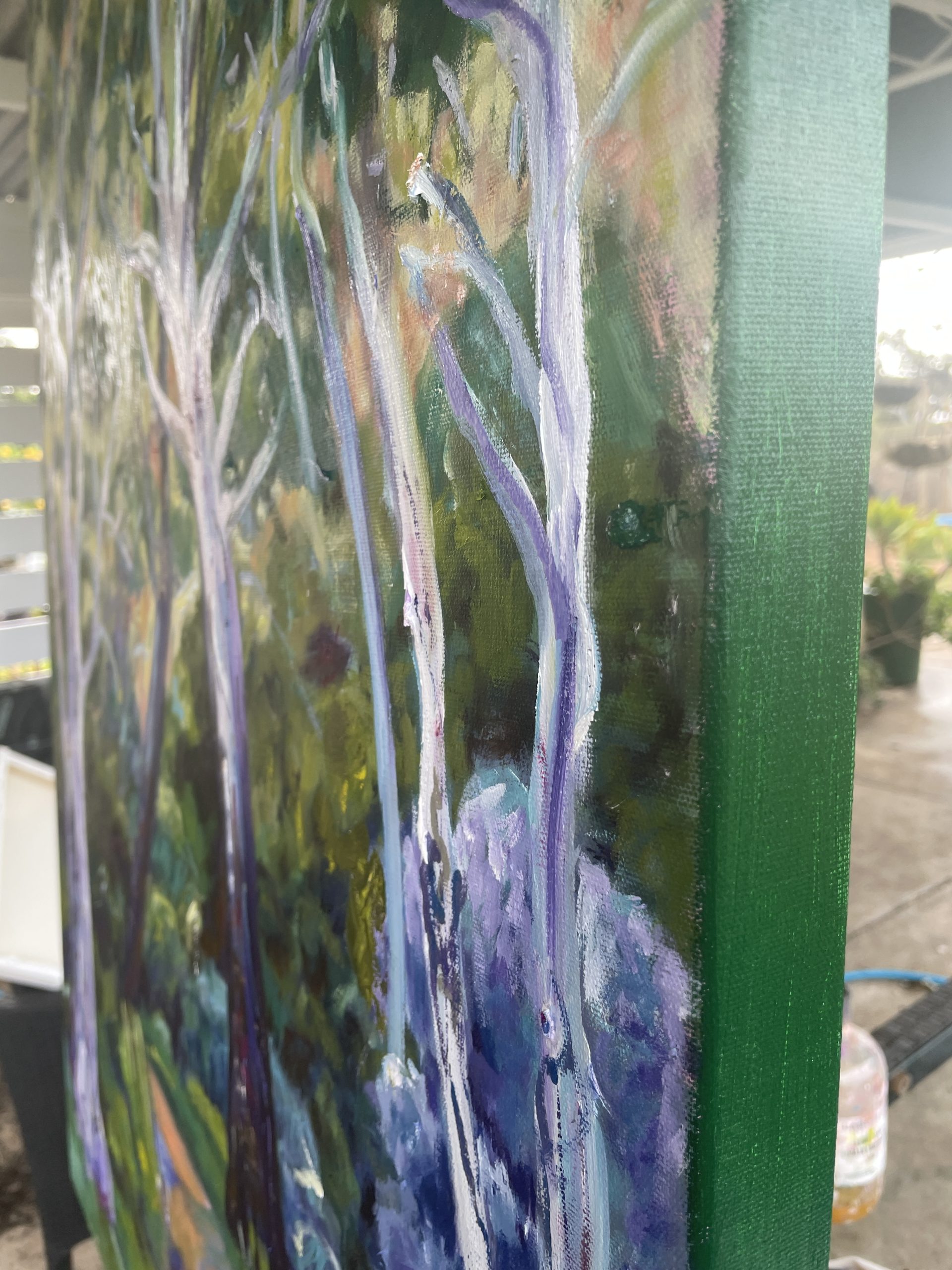 Road To Morialta Side View