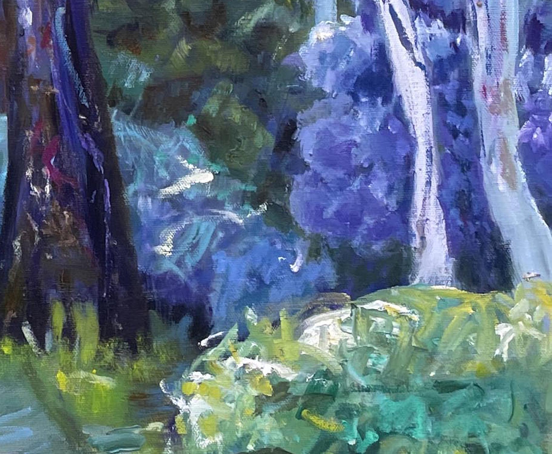 Road To Morialta Close Up 4edited 1