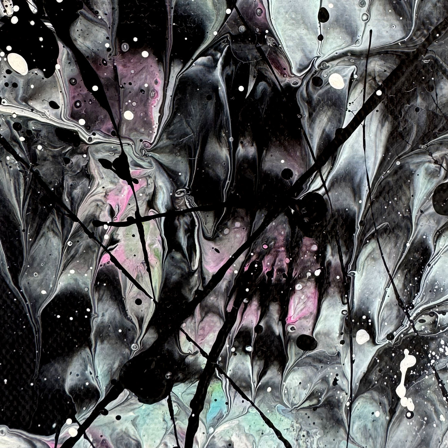 Rockpool I Rockpool Series By Bridget Bradley Closeup Snapshot