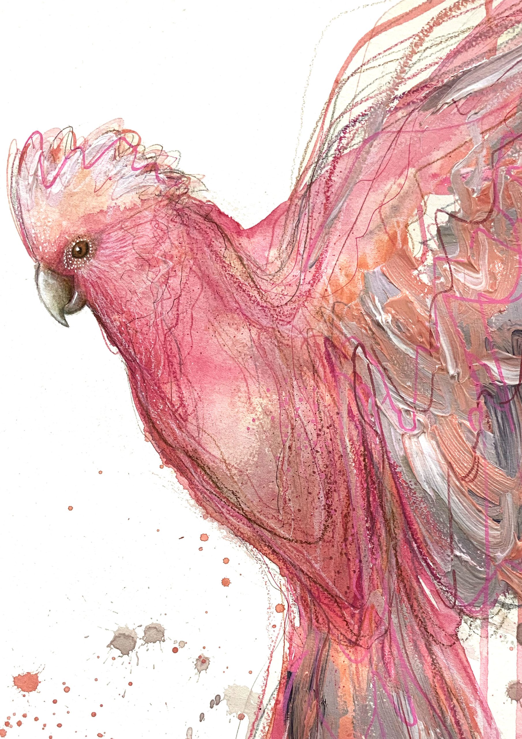 Leni Kae Pink Galah Spirit Detail Bird Painting A2 2024