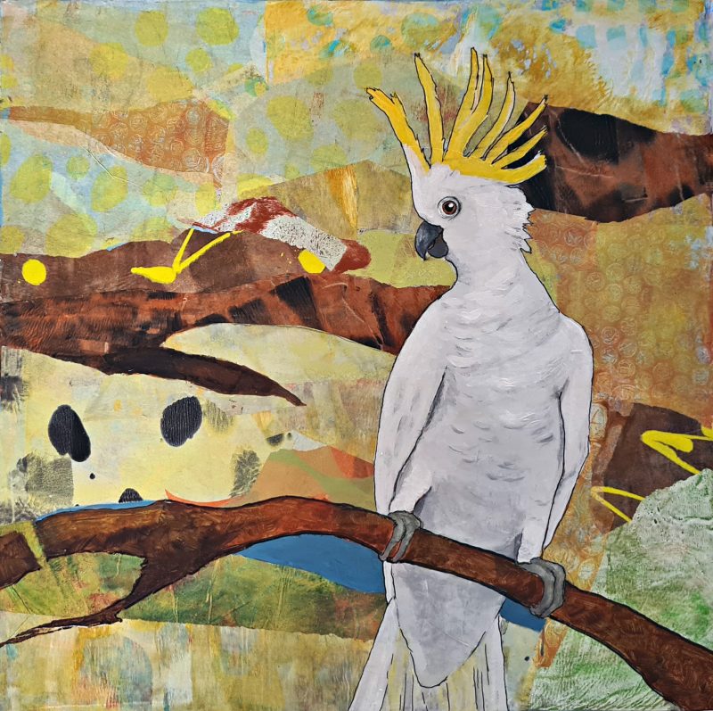 Sunlight dances across the Landscape