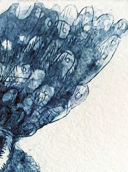 Red Tailed Black Cockatoo Det1