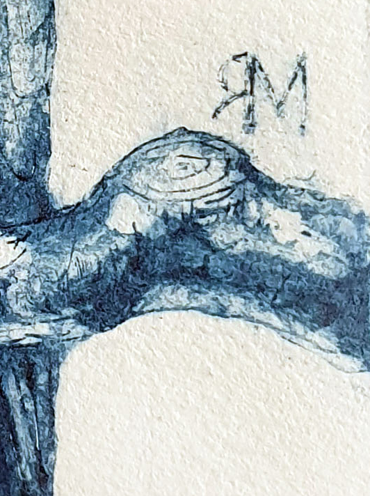 Red Tailed Black Cockatoo Det3