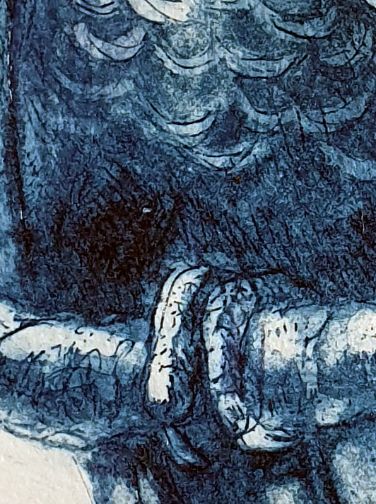 Red Tailed Black Cockatoo Det4