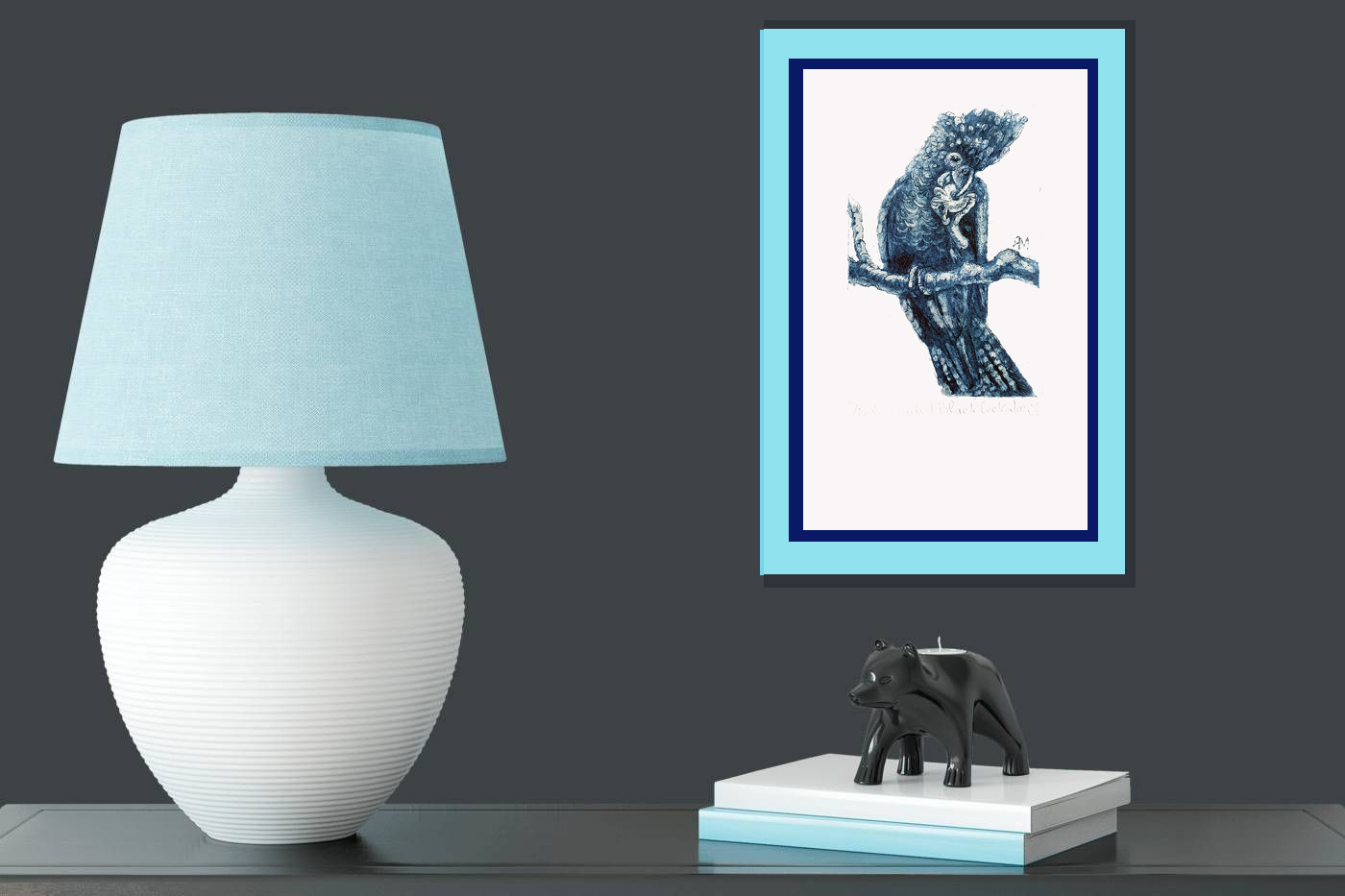 Red Tailed Black Cockatoo Insitu Copy