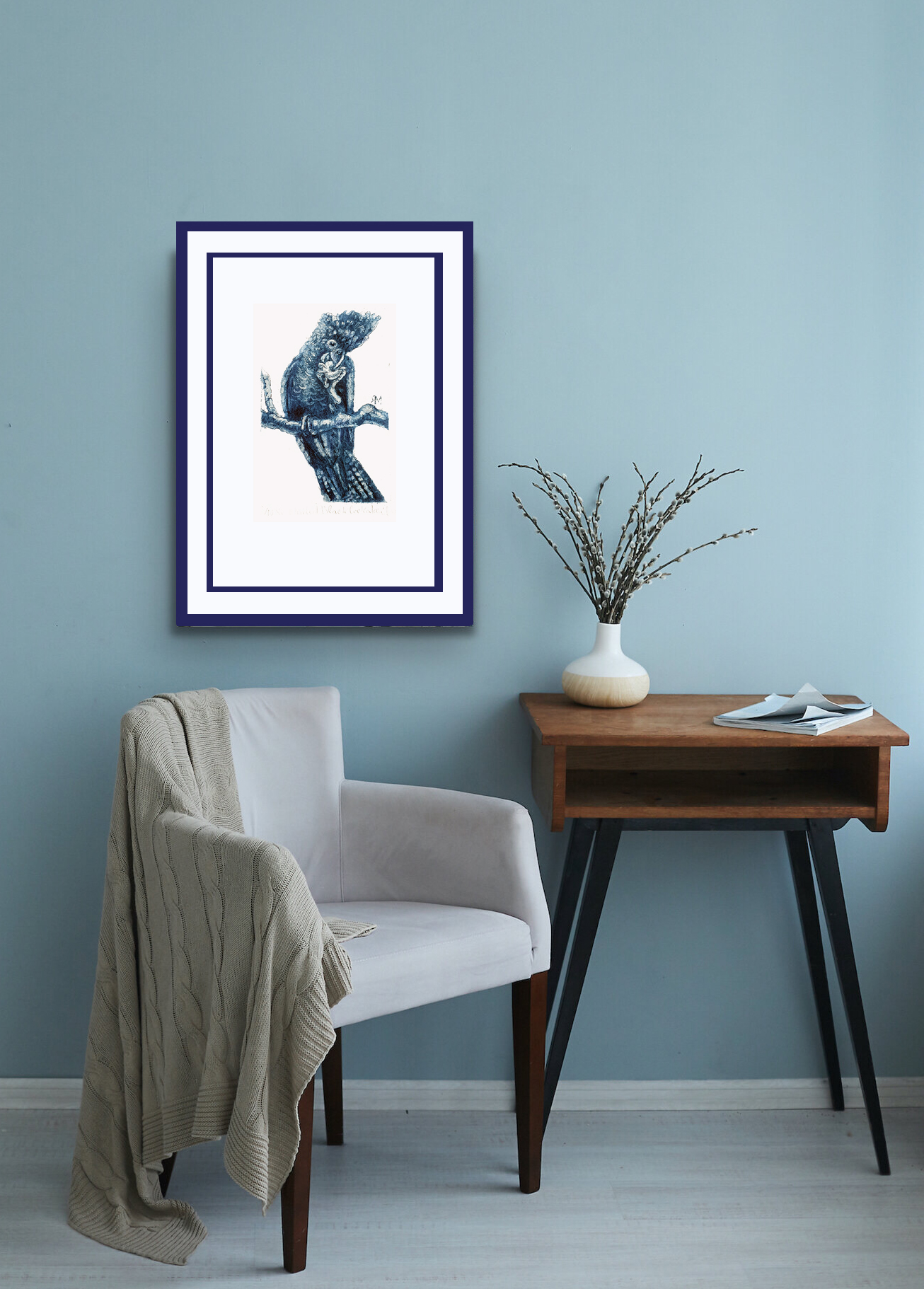 Red Tailed Black Cockatoo Insitu1 Copy