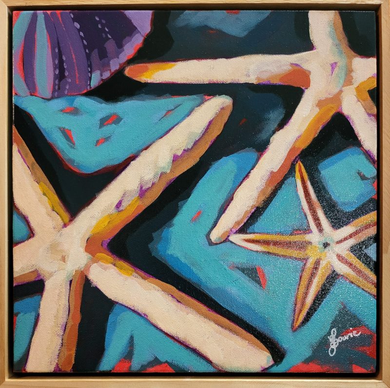 Star Fish- Sea Life Series