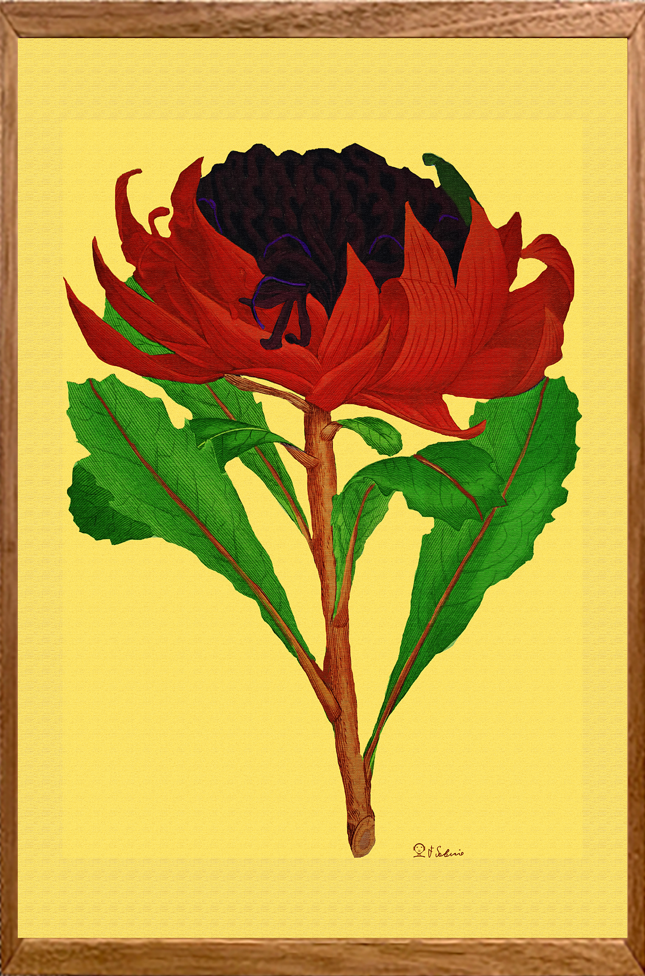 Street Urban Art Collection Number 296 2