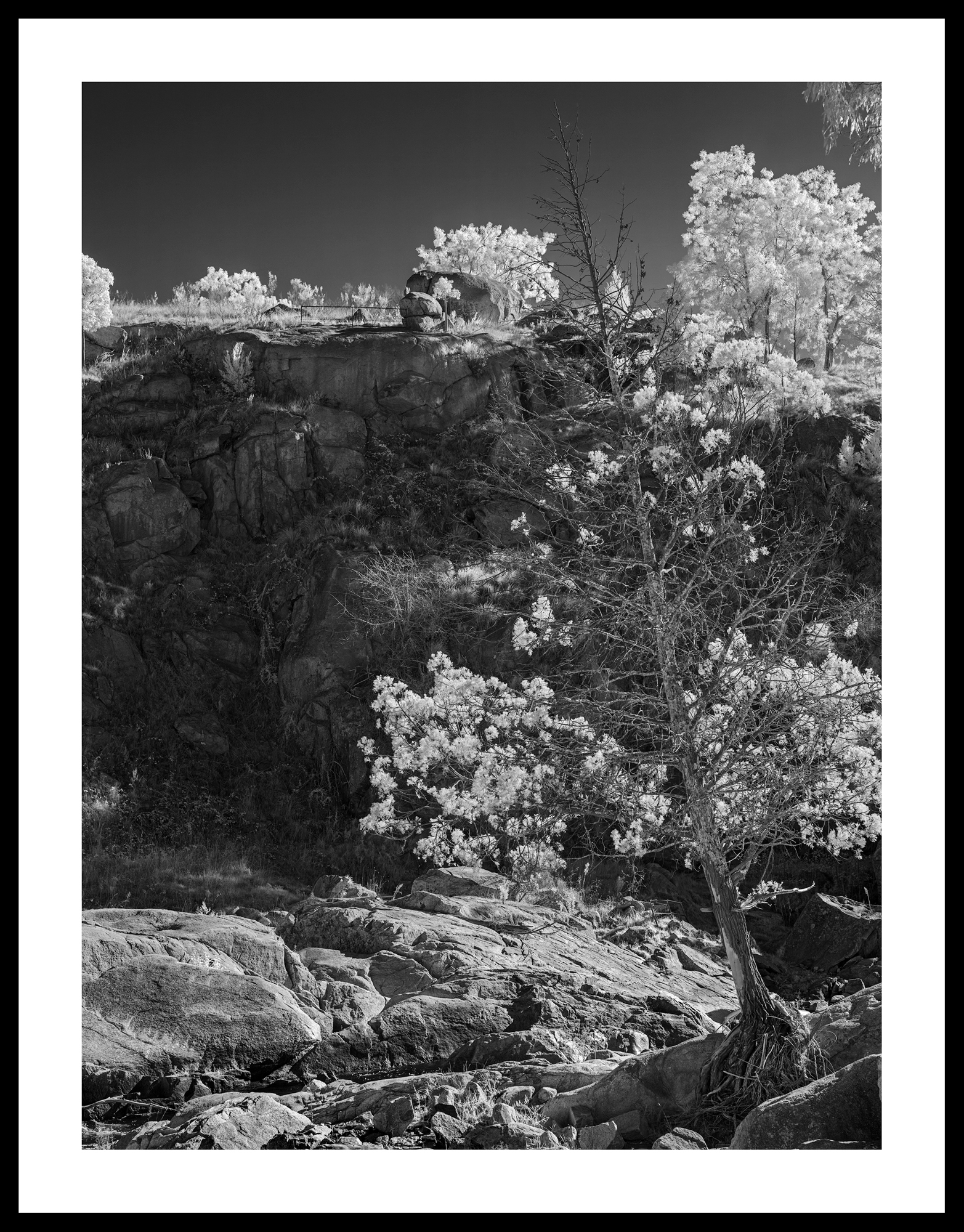 Catching Light Framed