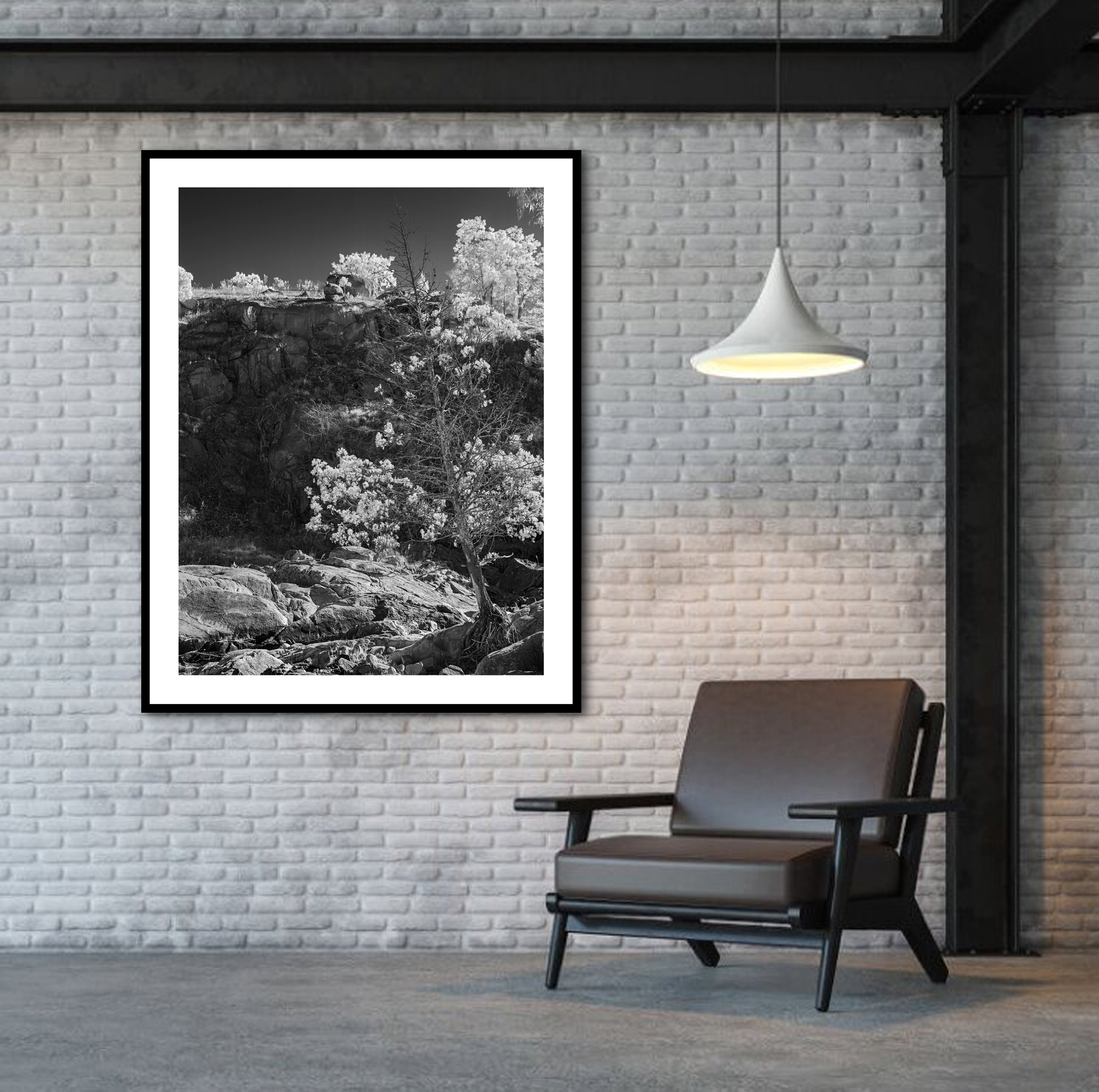 Catching Light In Situ 3