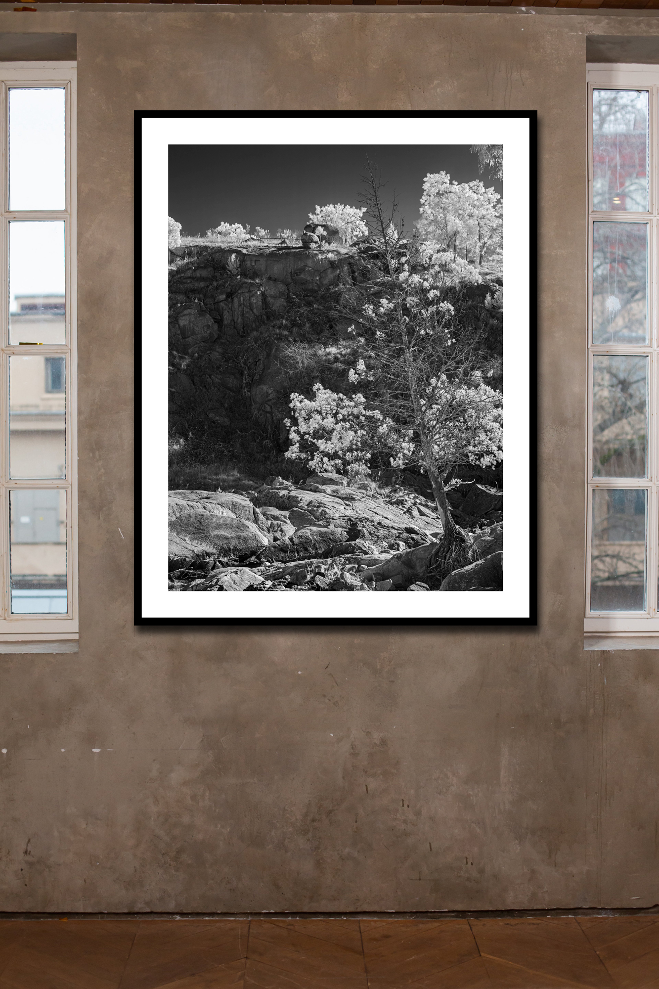 Catching Light In Situ 2