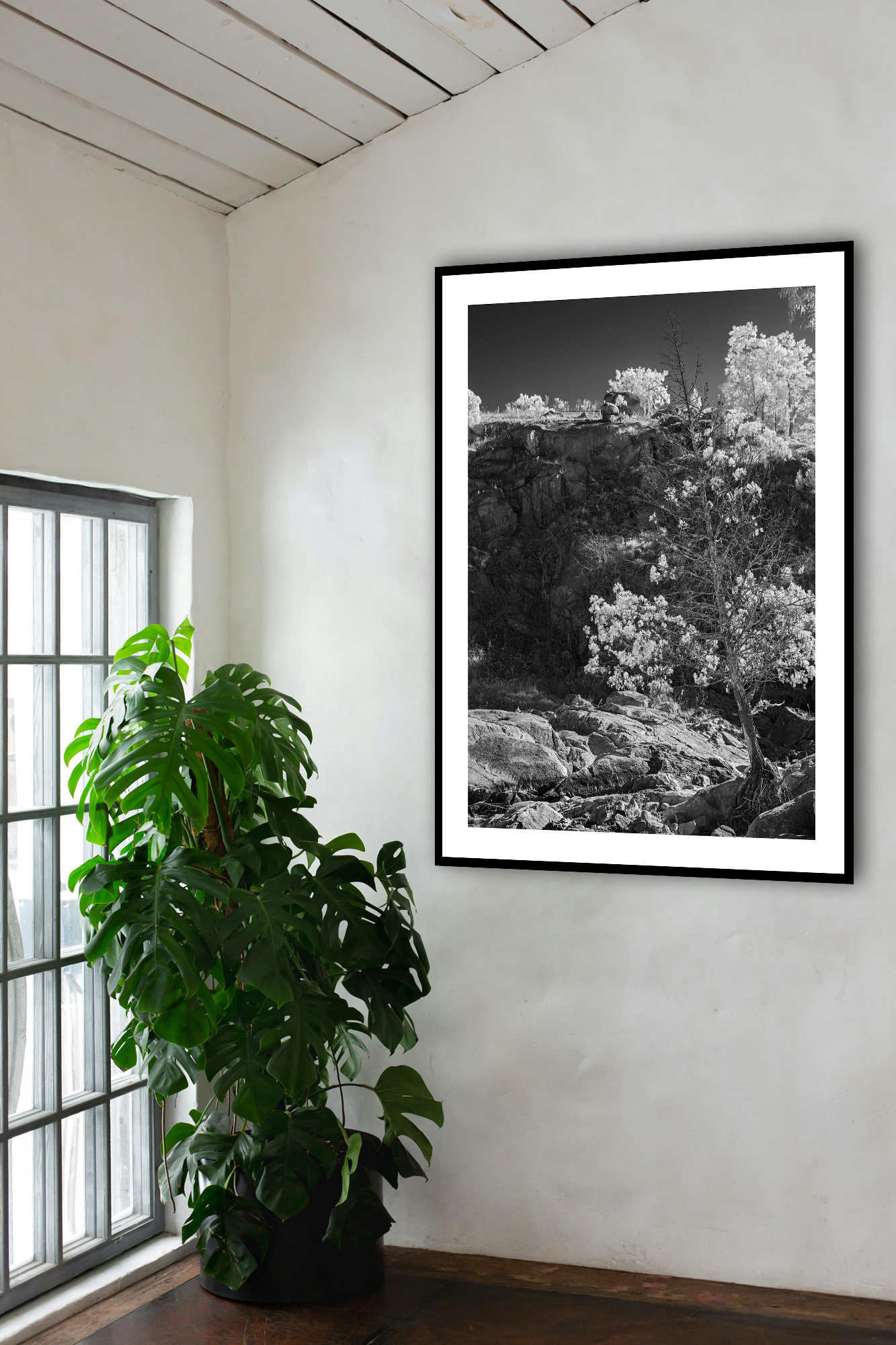 Catching Light In Situ 1