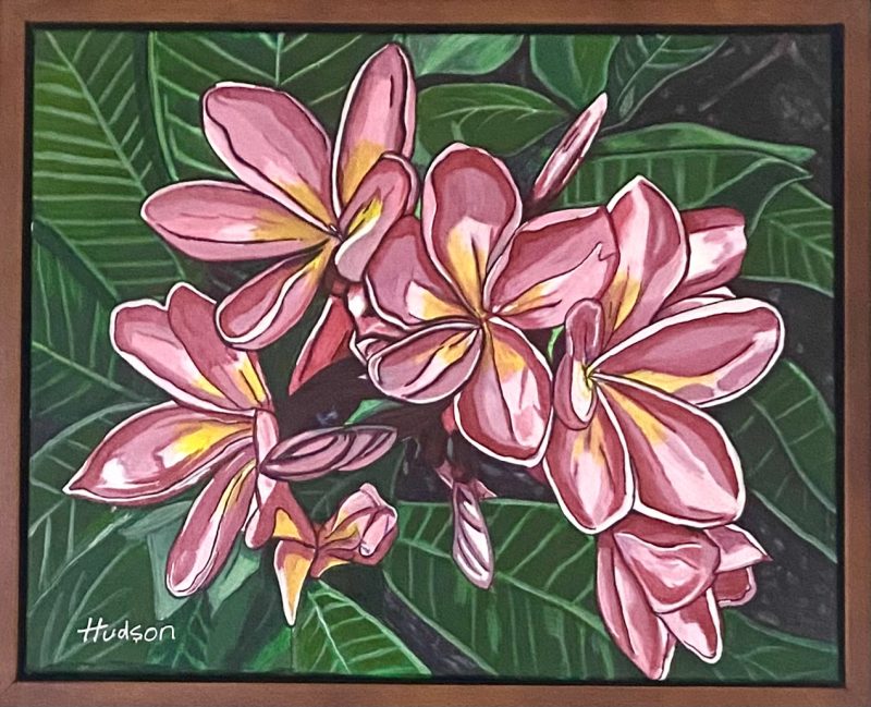 Pink Frangipani