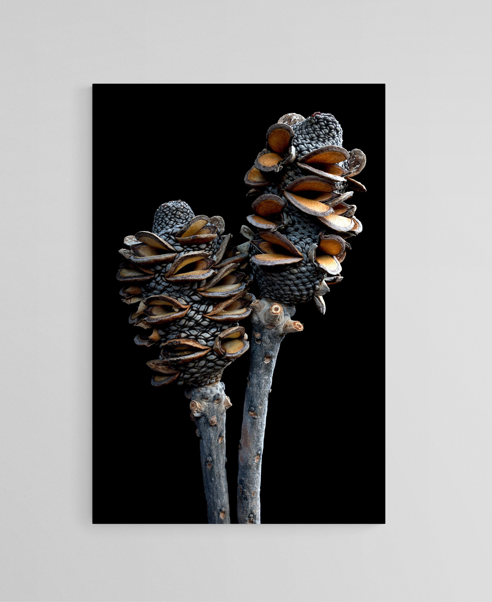 Empty Room 2024 07 06t173109.986