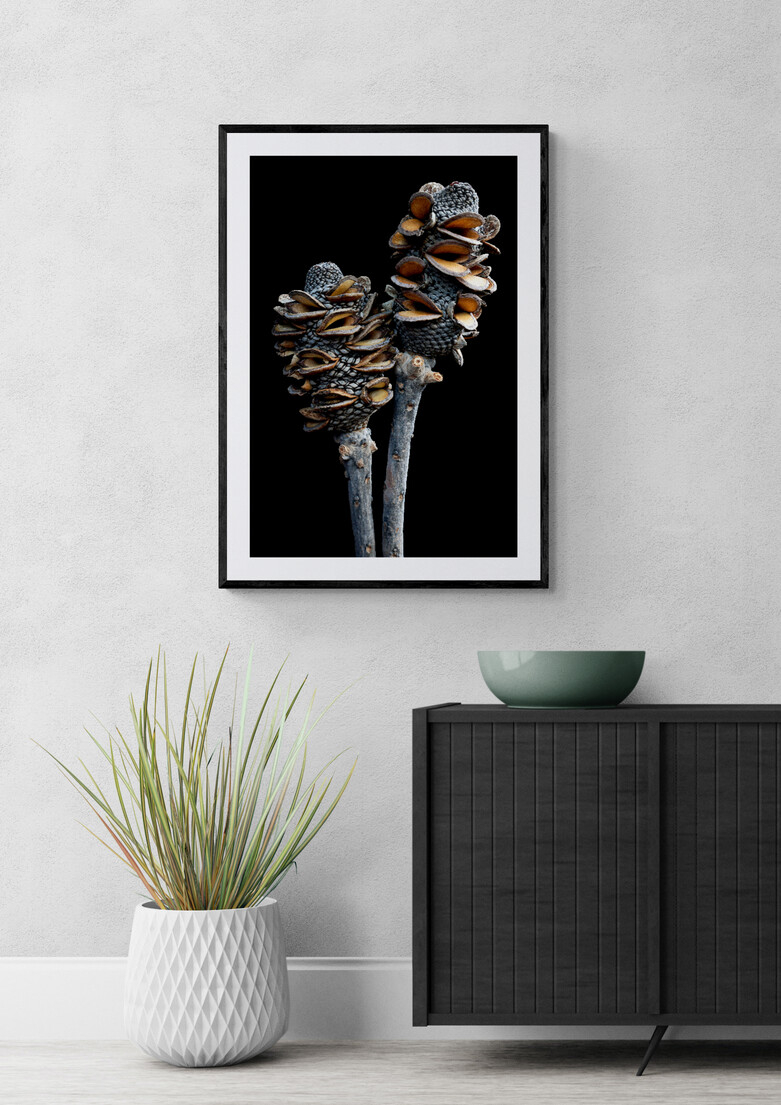 Wooden Cabinet And Plants (10)