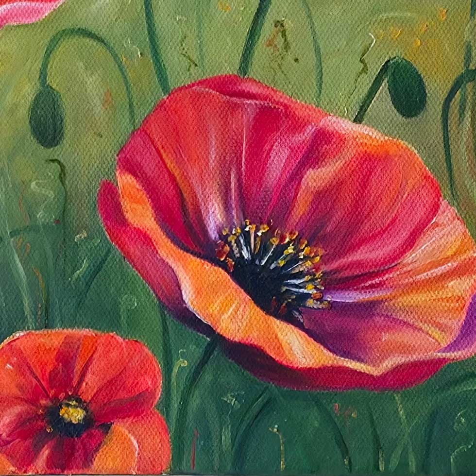 Poppies2