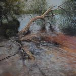 User 3241 Trevor 2024 07 15 T 03 17 50 523 Z Bummiera.small.jpg