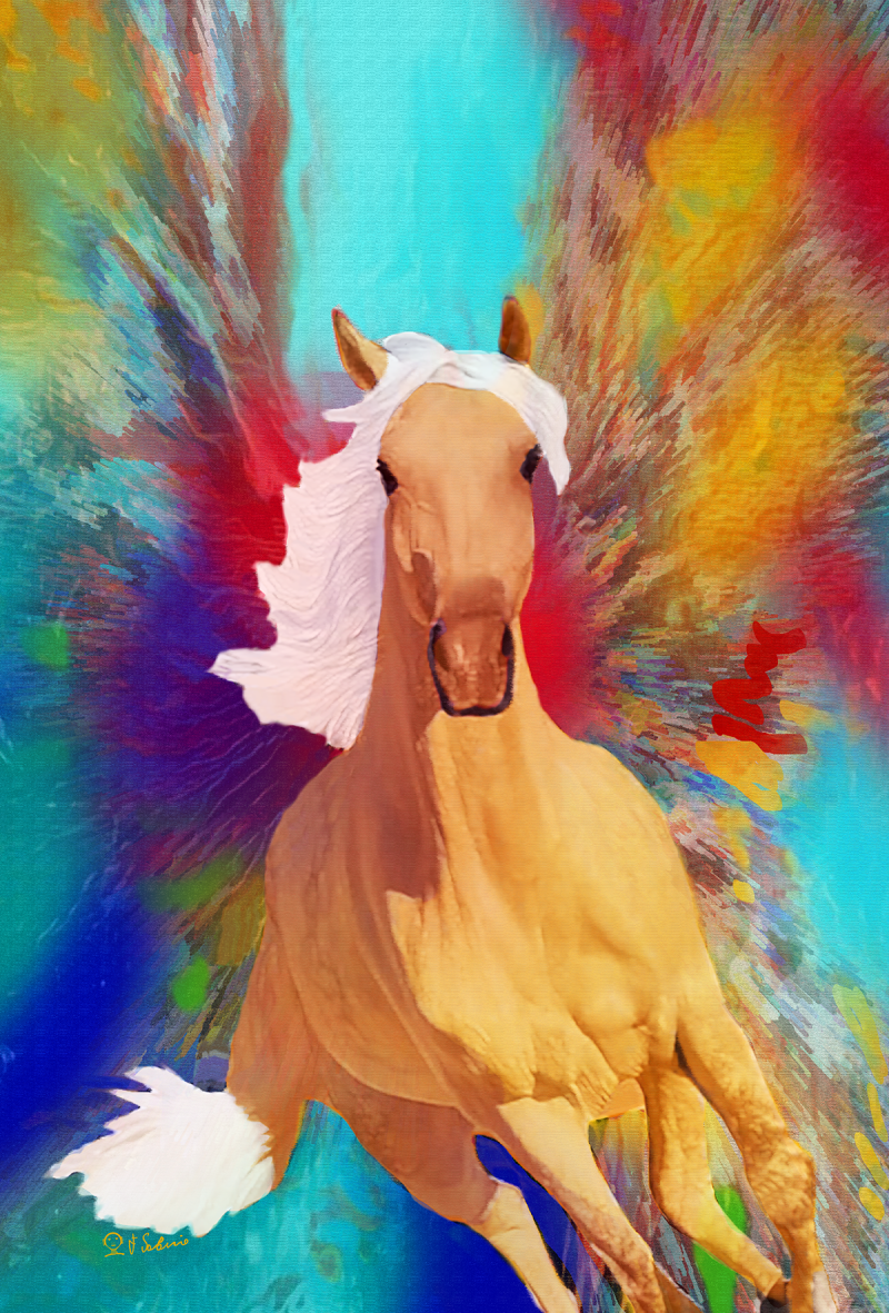 Street Urban Art  collection number 299