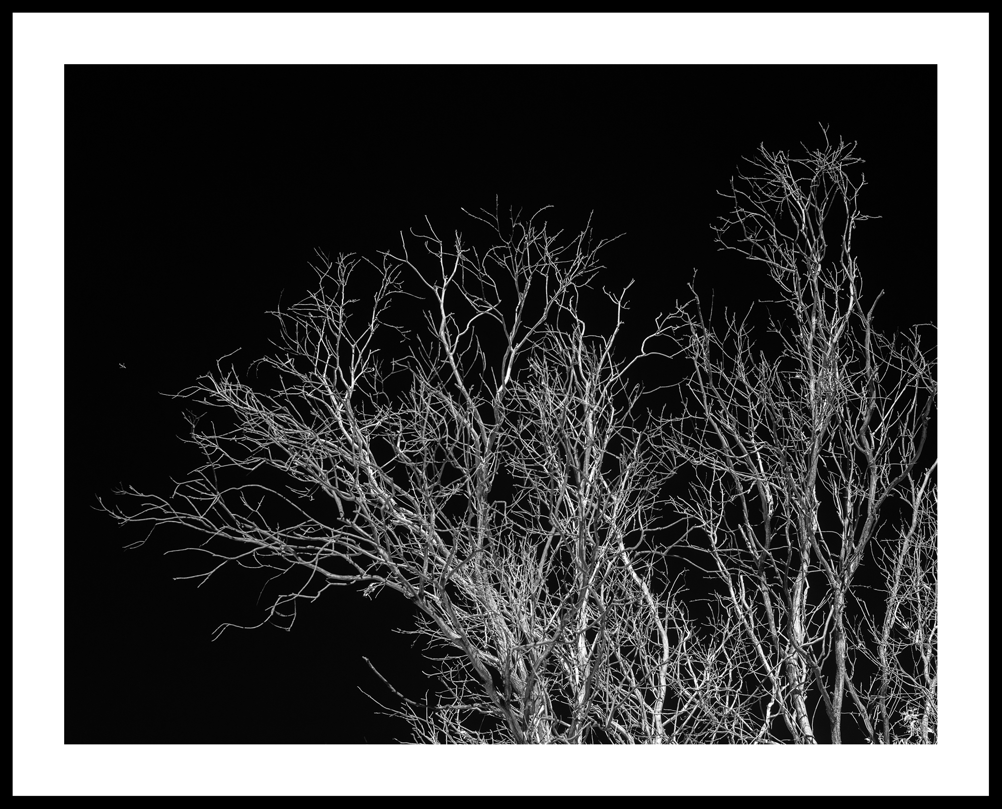 Leaving On A Jet Plane Framed