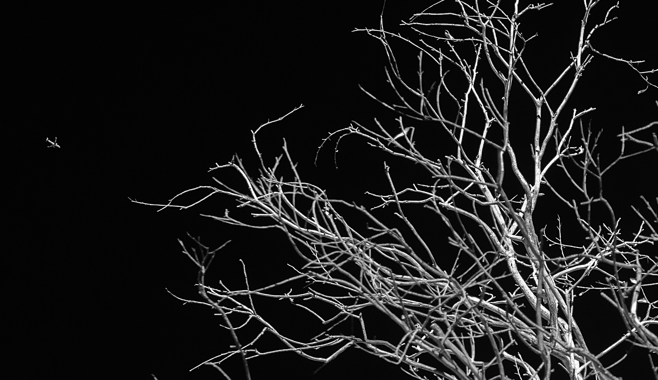 Leaving On A Jet Plane Detail 2