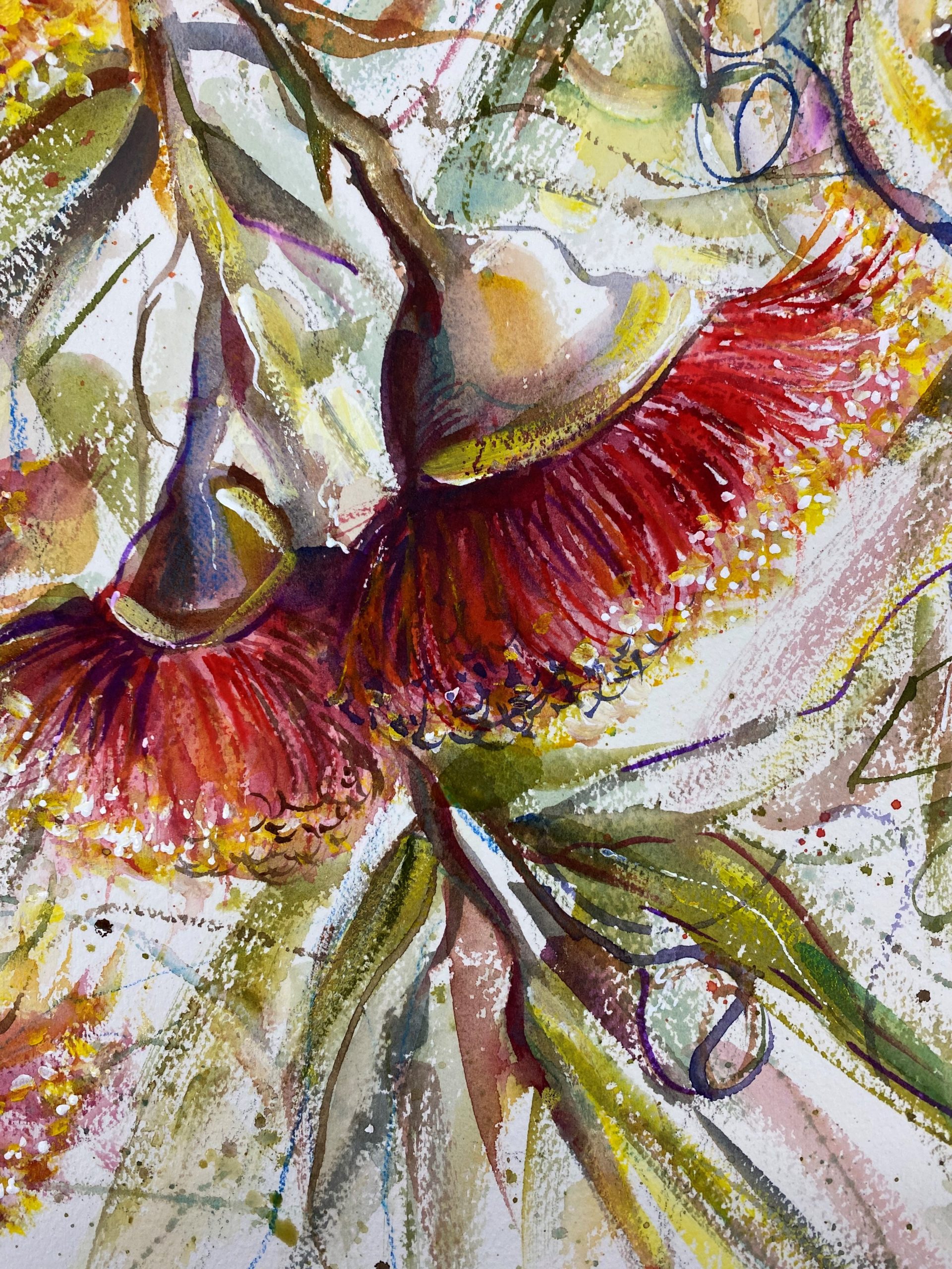 Redgumnut Blossoms 11 2