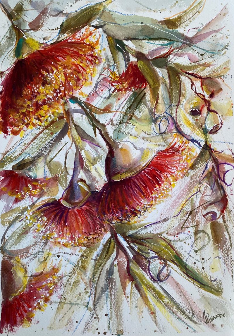 Red gumnut blossoms #11