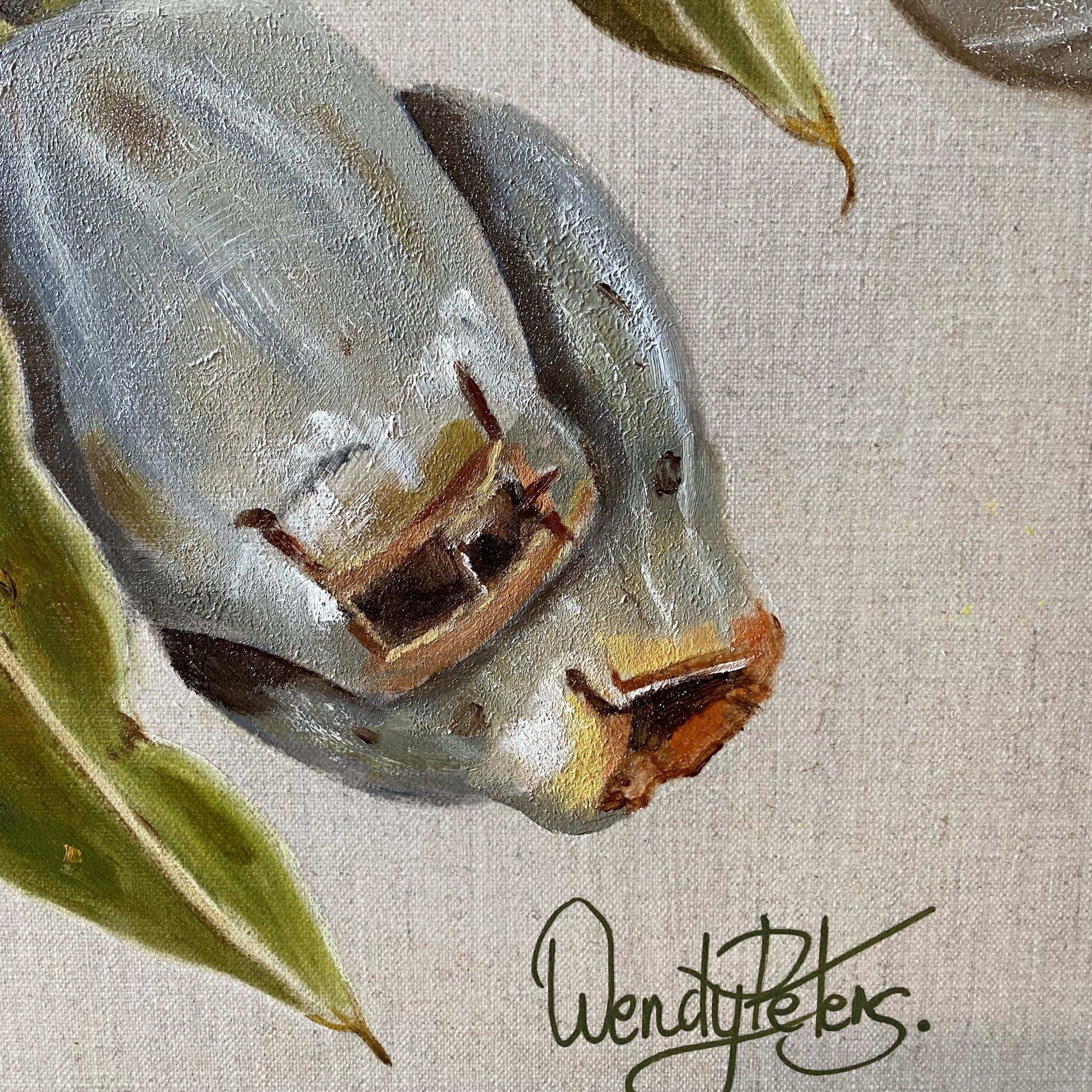 Song Of The Gum Nuts Closeup2 Wendy Peters