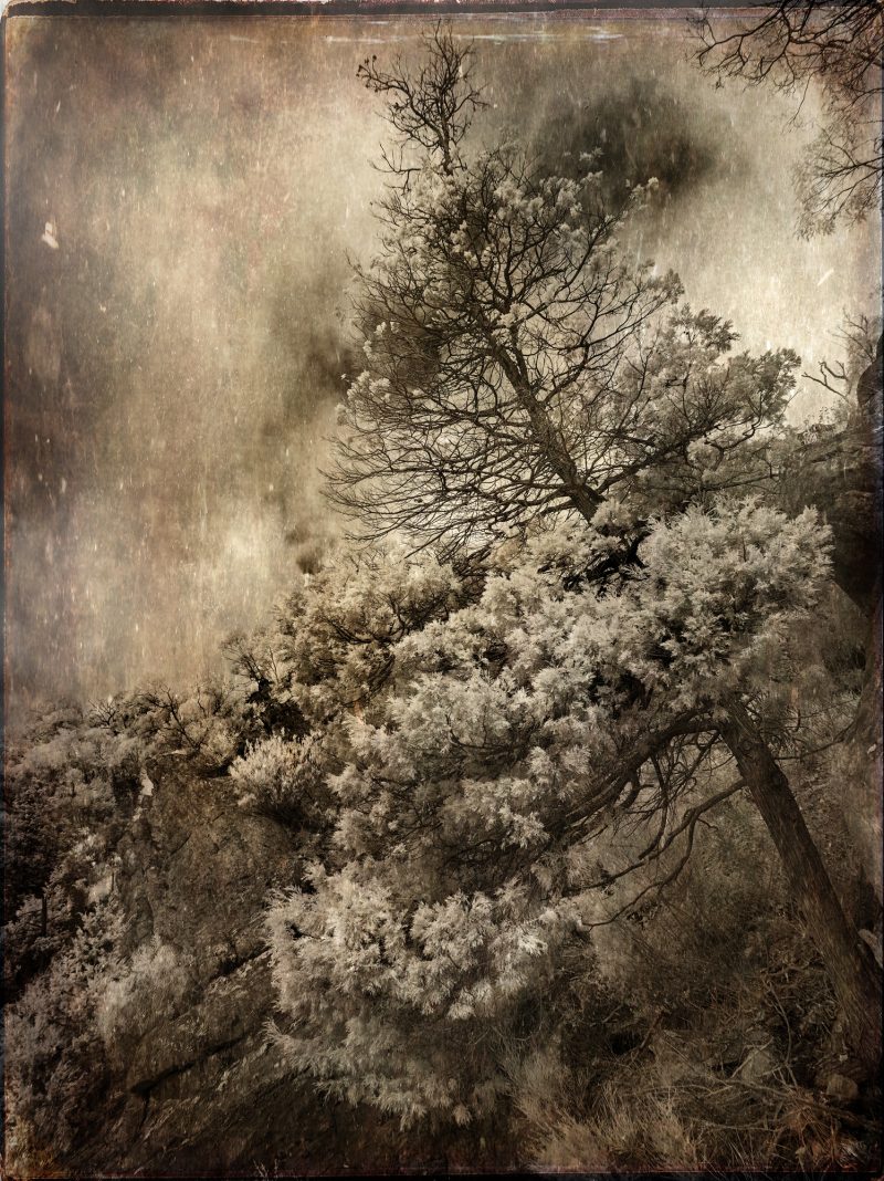 Remains of the Day – Ltd Ed Photography