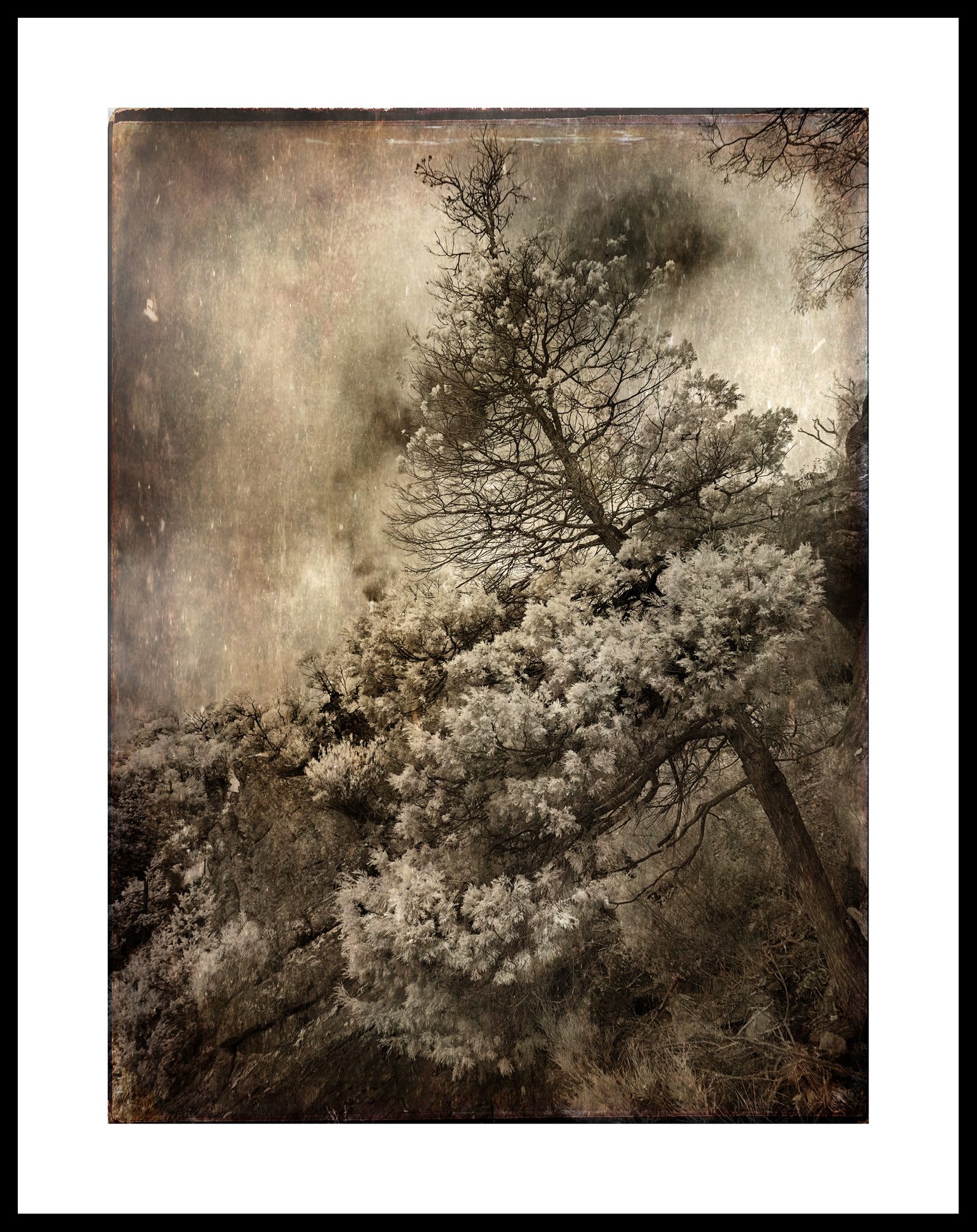 Remains Of The Day Framed