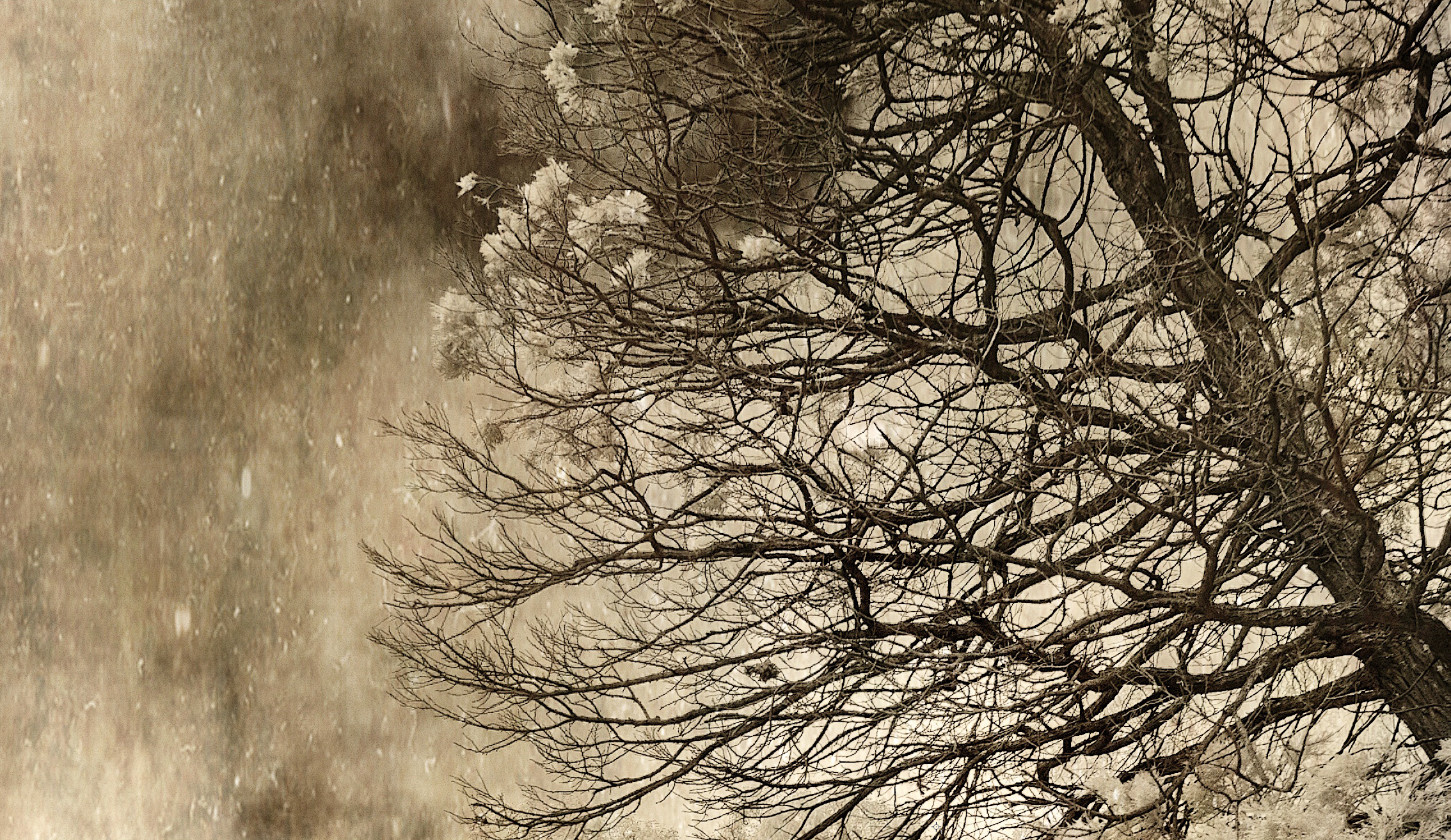 Remains Of The Day Detail