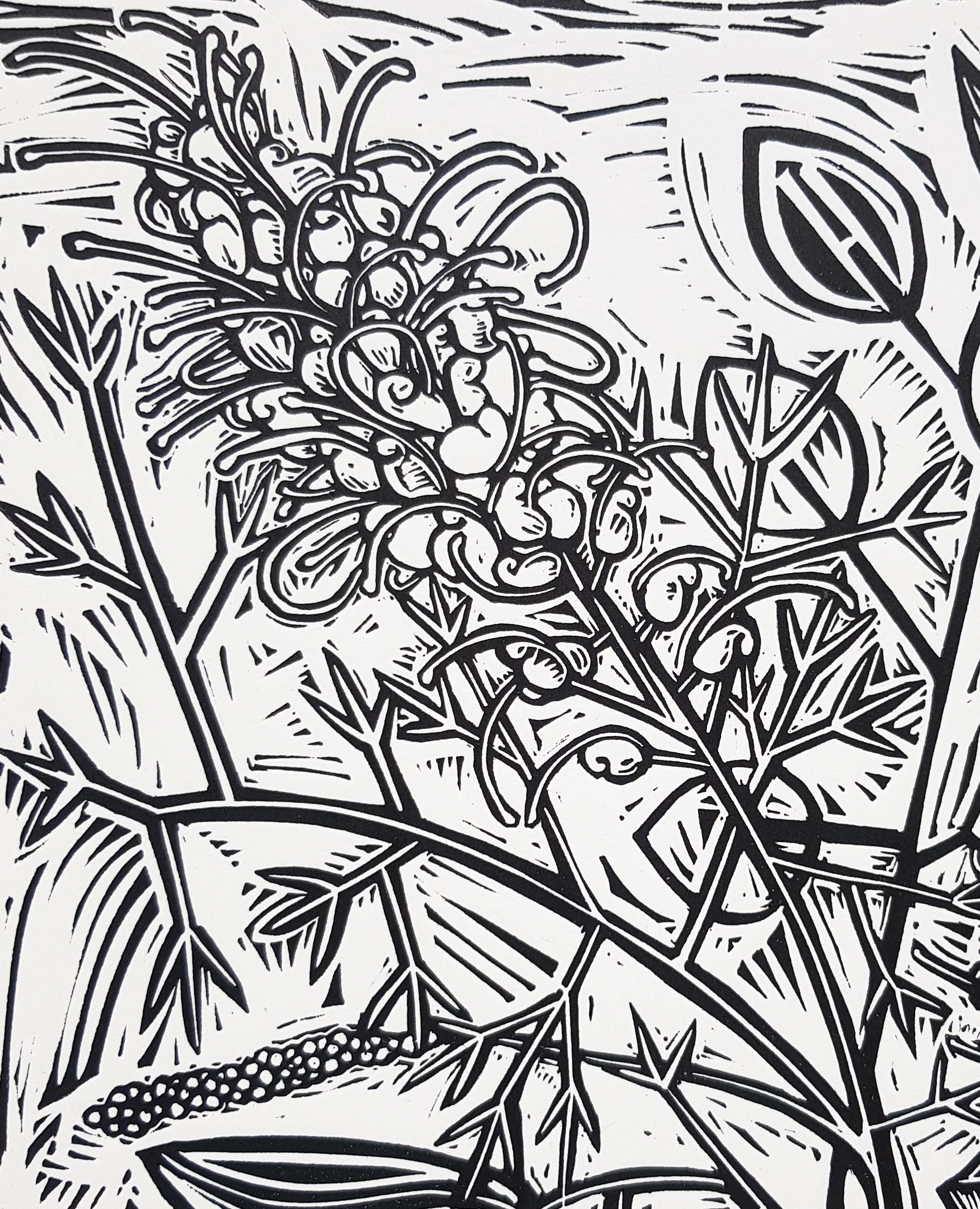 Albany Banksia Bouquet By Nicola Cowie Grevillea