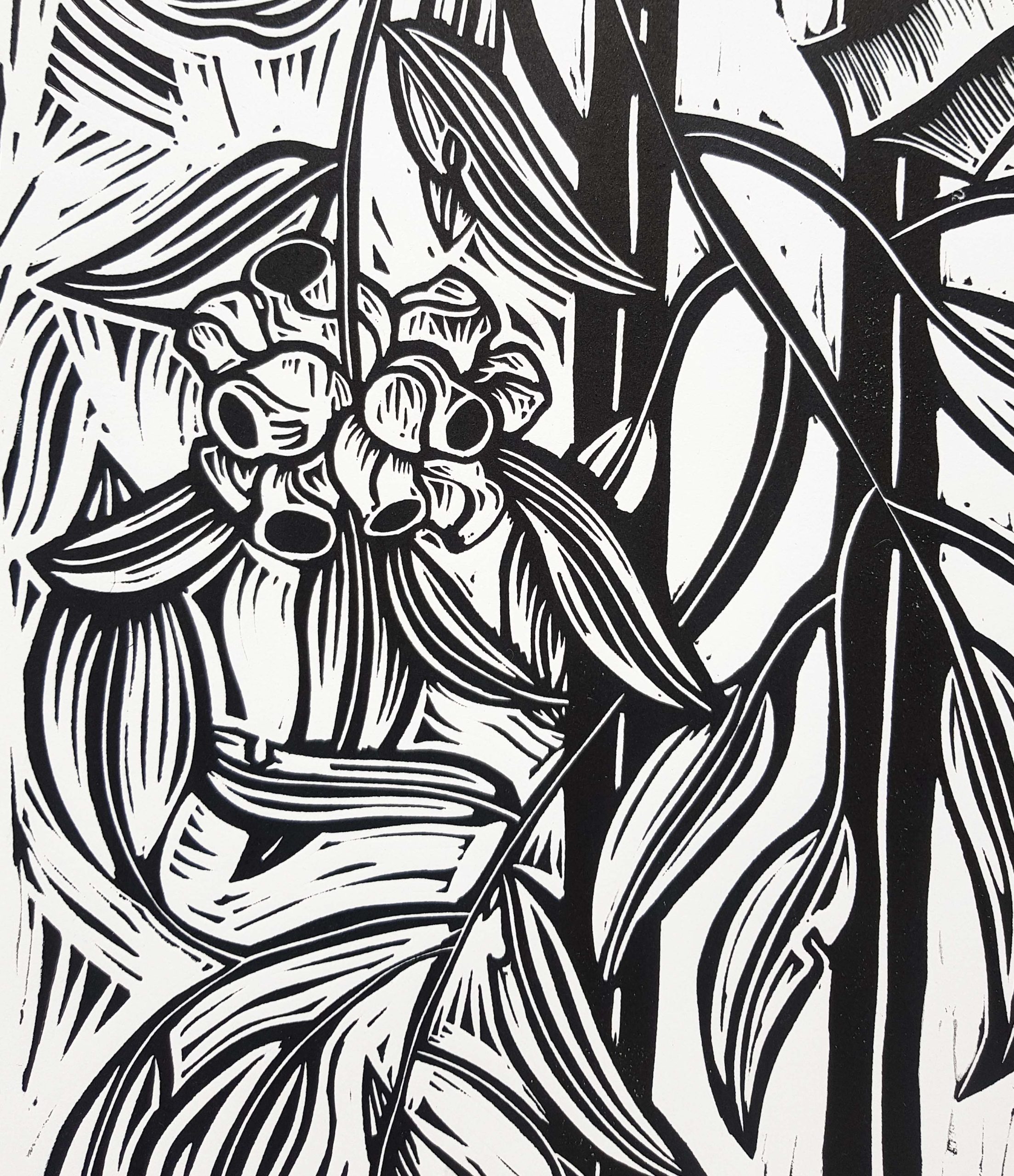 Albany Banksia Bouquet By Nicola Cowie Lino Cut