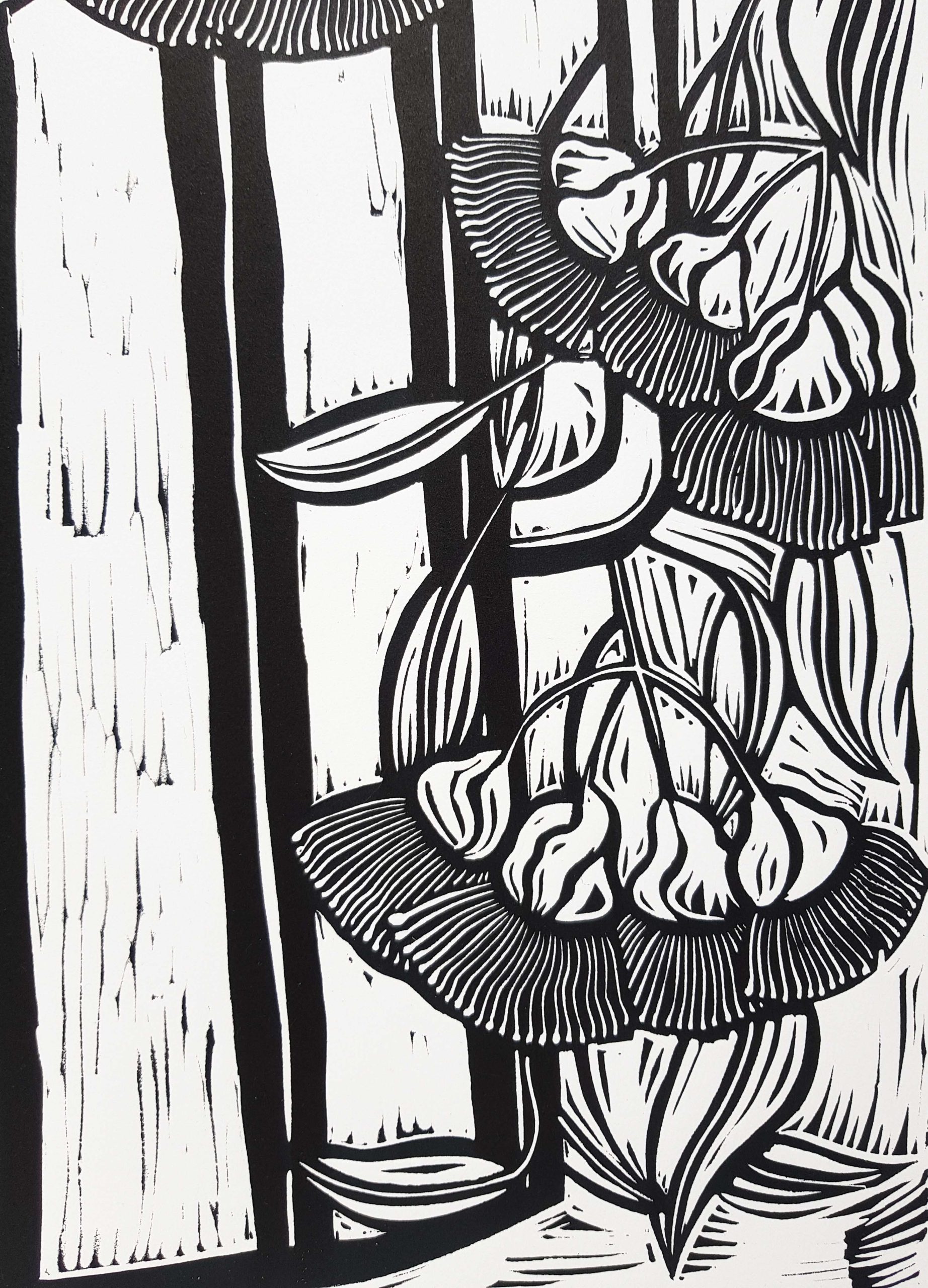 Albany Banksia Bouquet By Nicola Cowie Edge