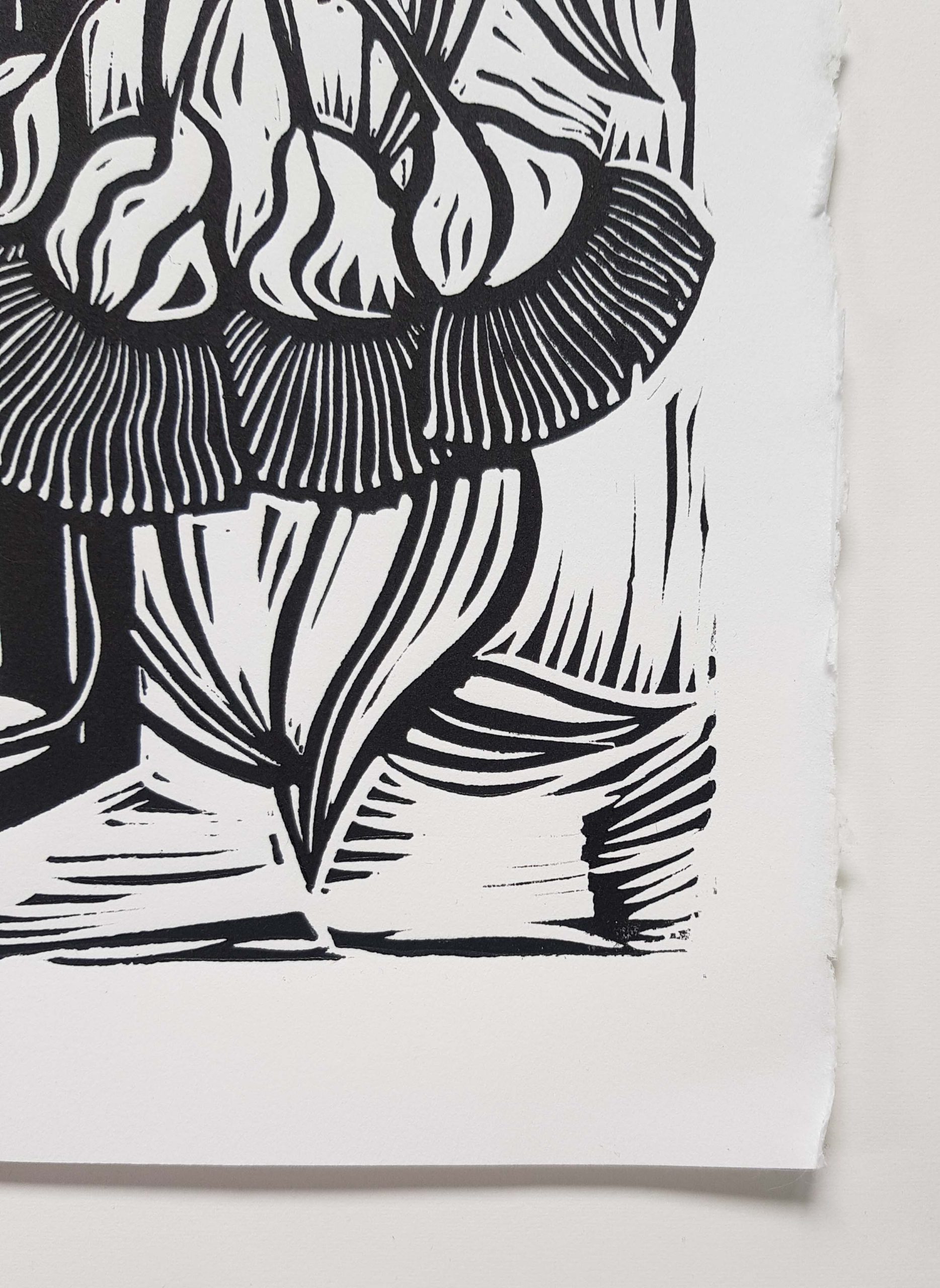 Albany Banksia Bouquet By Nicola Cowie Paper