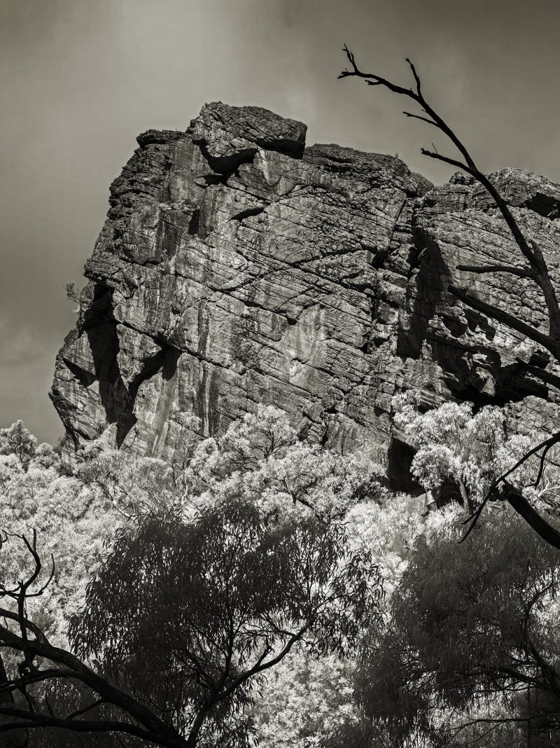 Tonic – Ltd Ed Photography