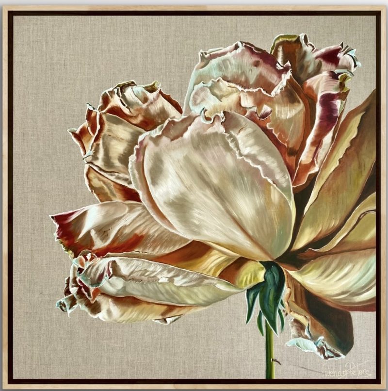 Dupion Rose – Framed