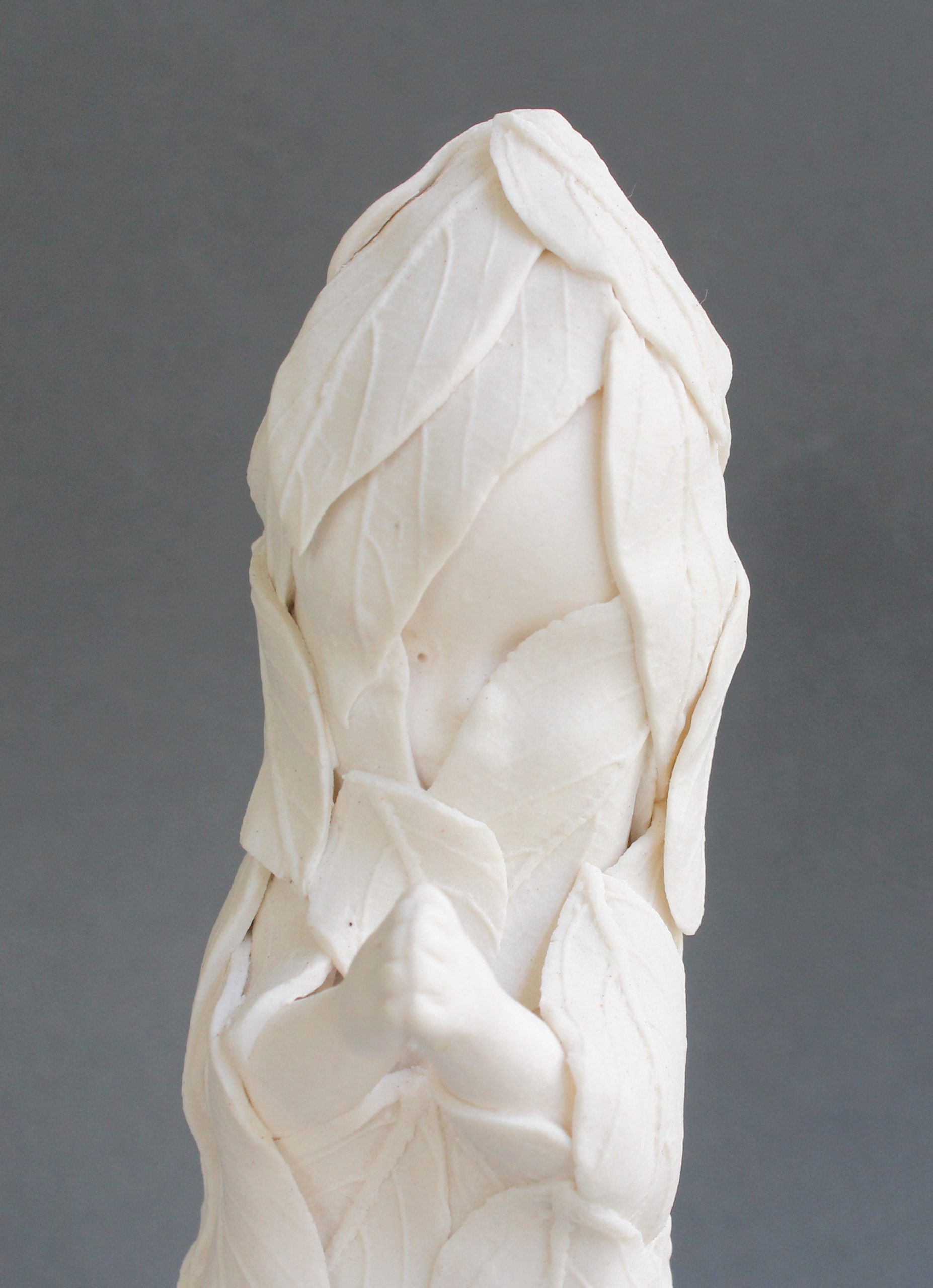 Please Save The Trees 4