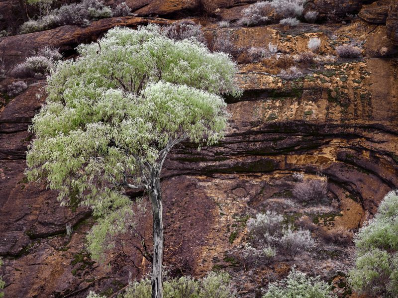 Gorge – Ltd Ed Photography