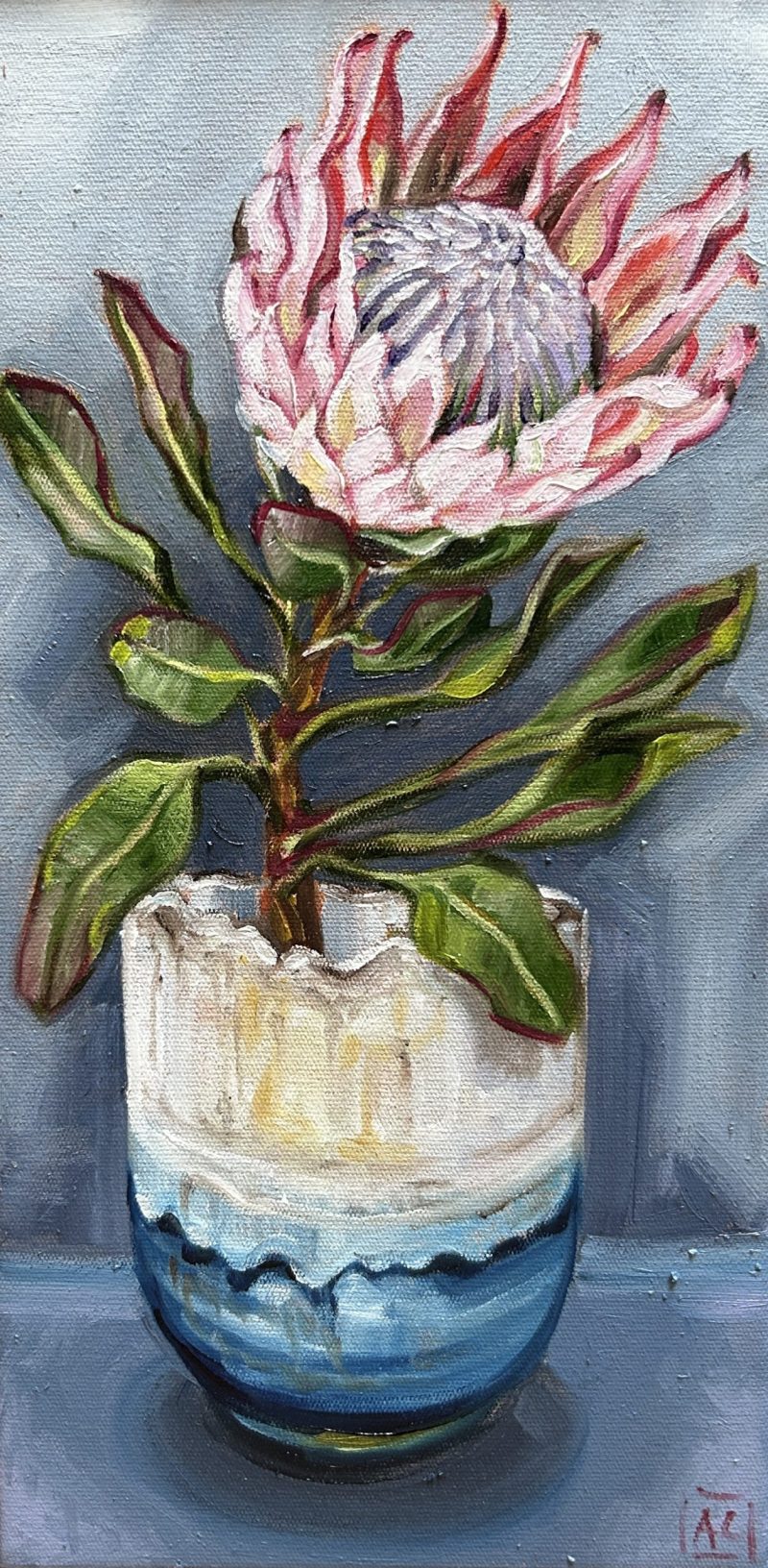 Protea and Miranda B Pottery – exclusive