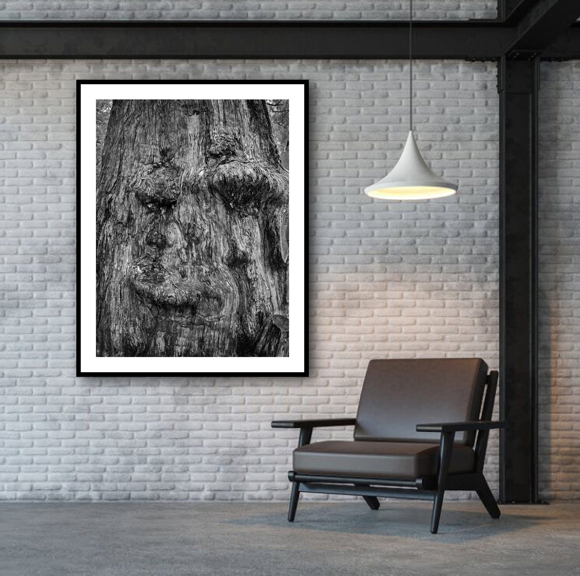 Phlegmatic In Situ 2