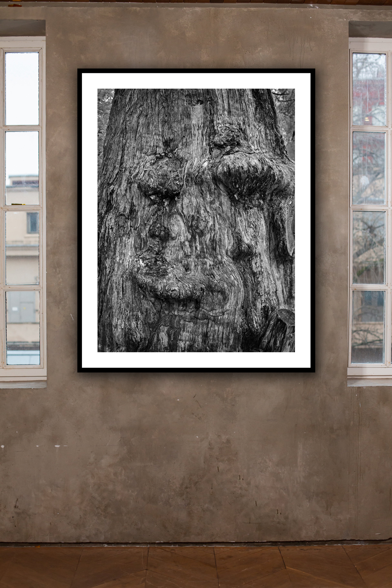 Phlegmatic In Situ 1