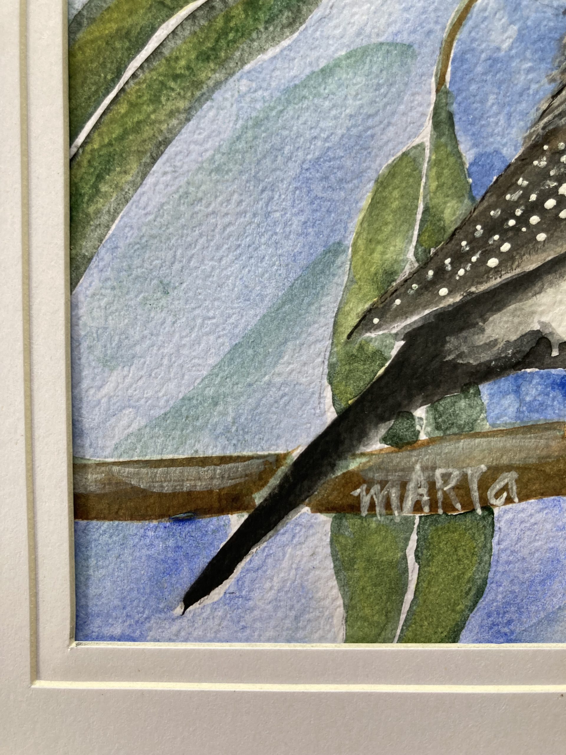 389 Finches Signature