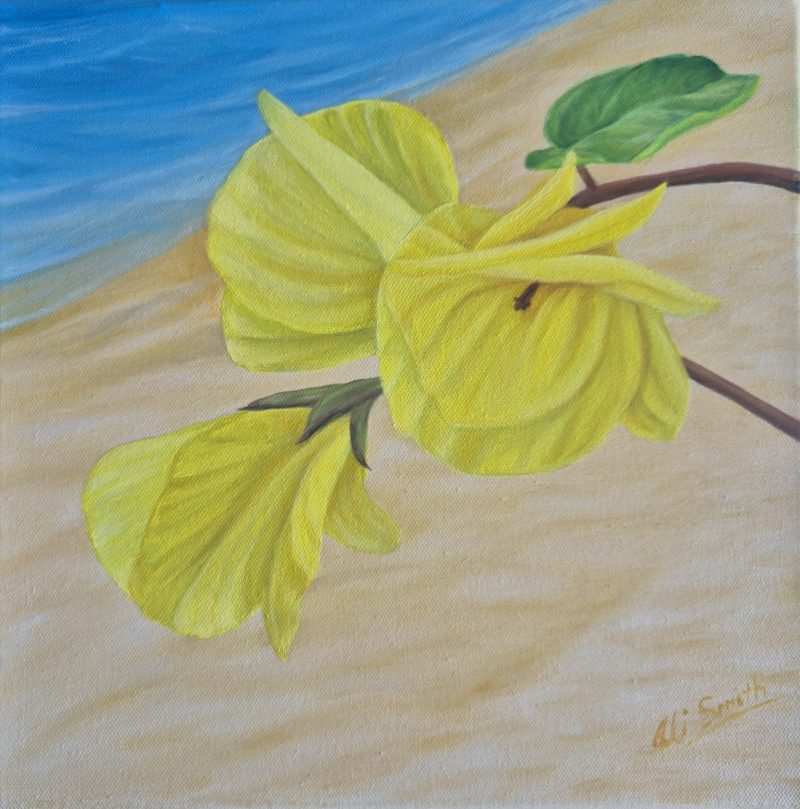 Beach Hibiscus